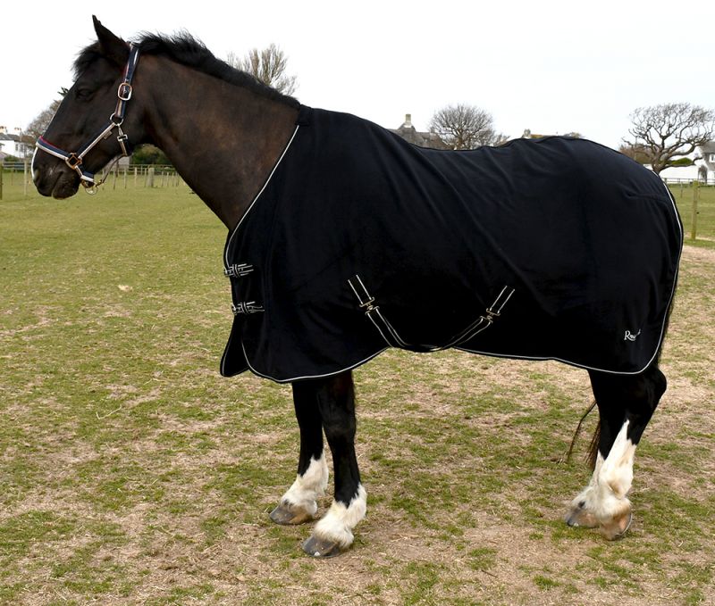 Rhinegold 300gsm Suede Fleece Rug