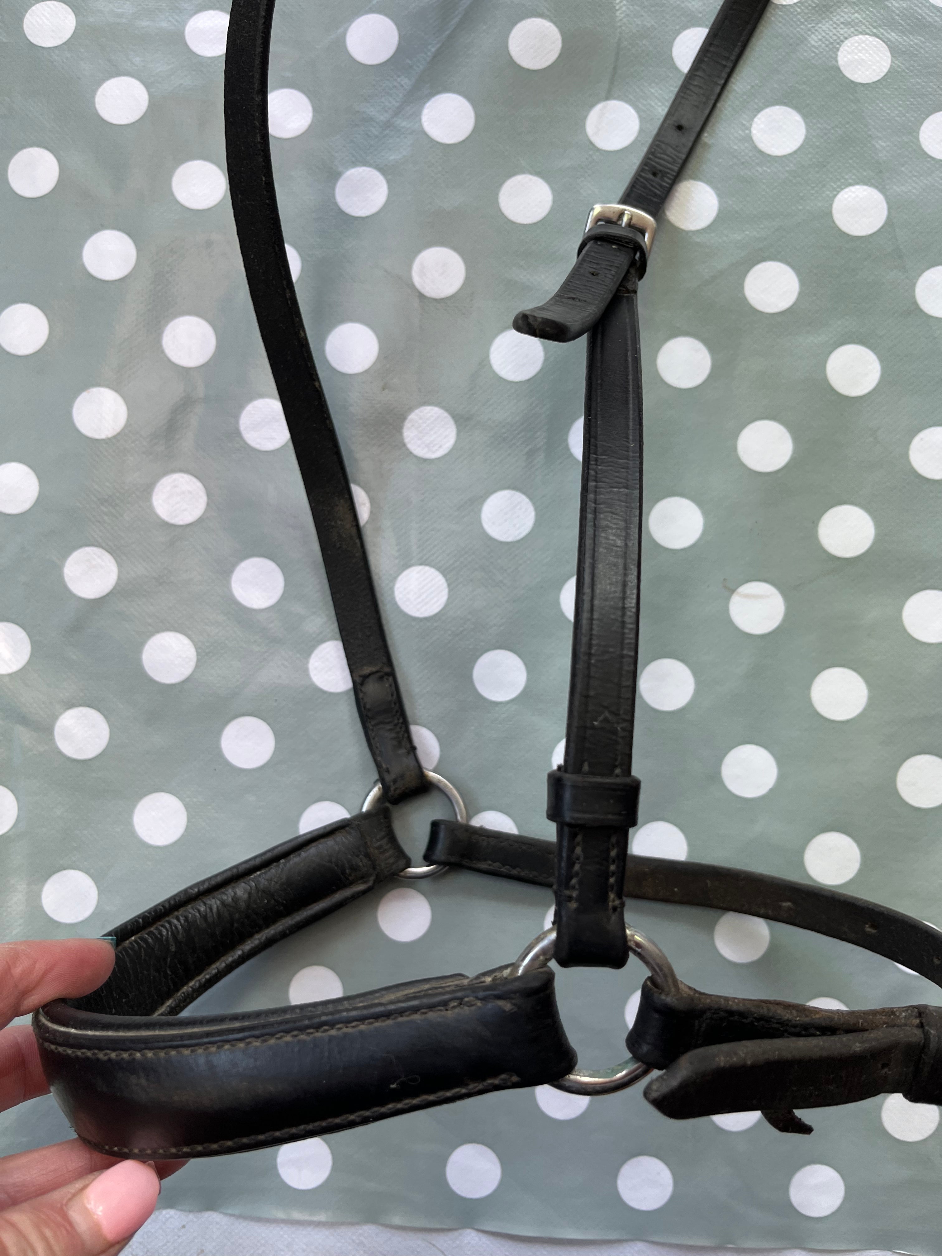 Drop Noseband Black Size Cob #1