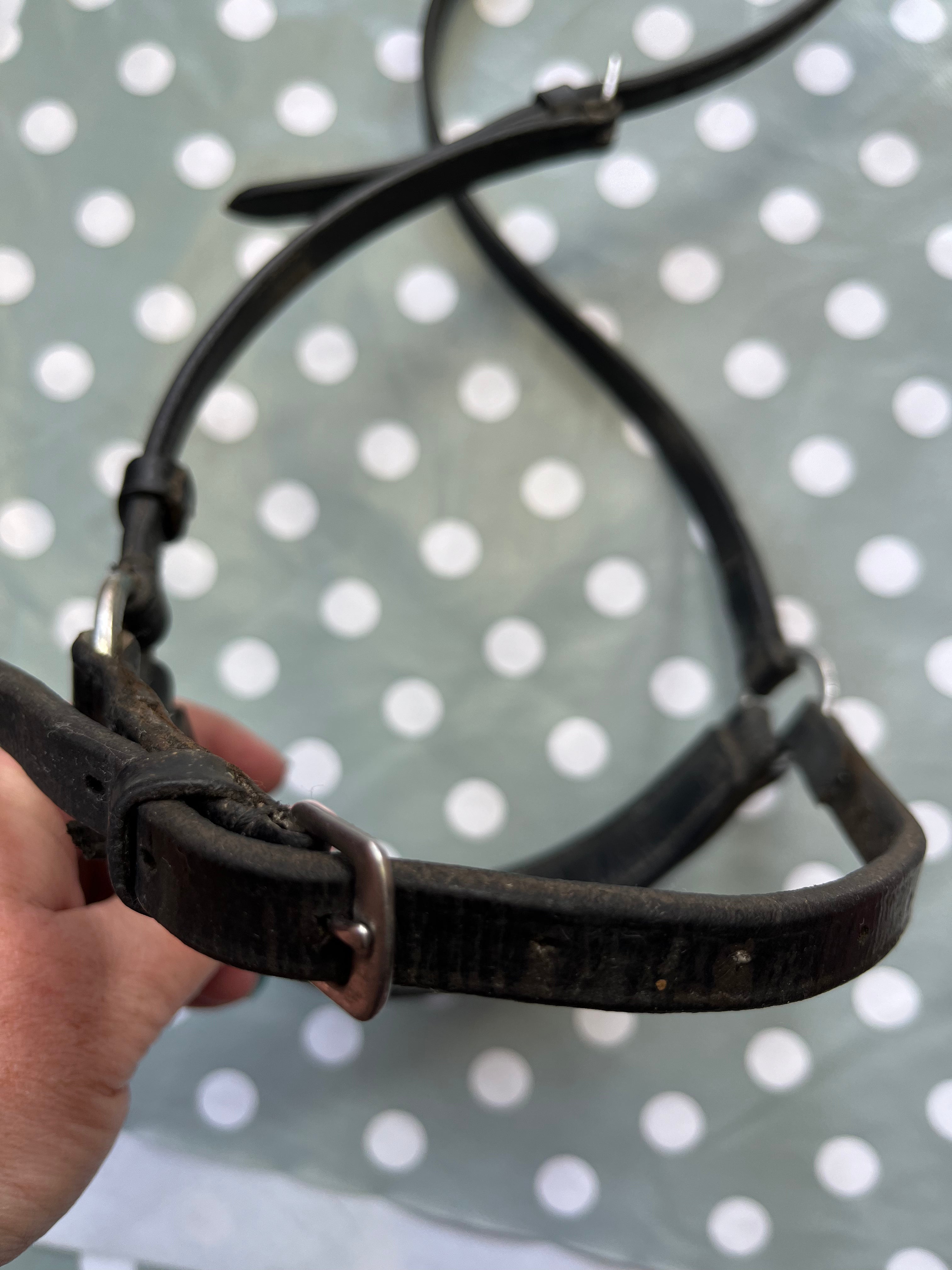 Drop Noseband Black Size Cob #1