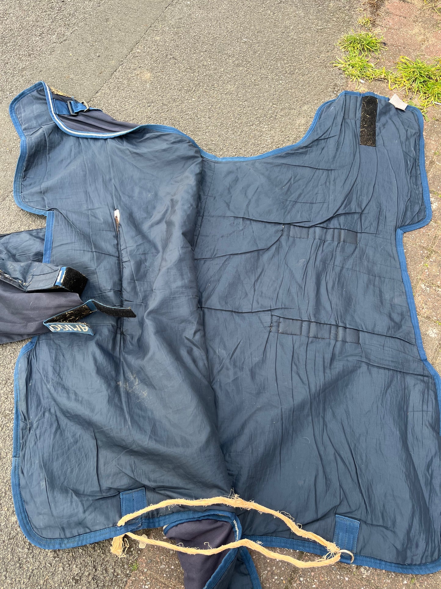 Amigo Horseware Ireland Foal Turnout Rug 50g 4’0