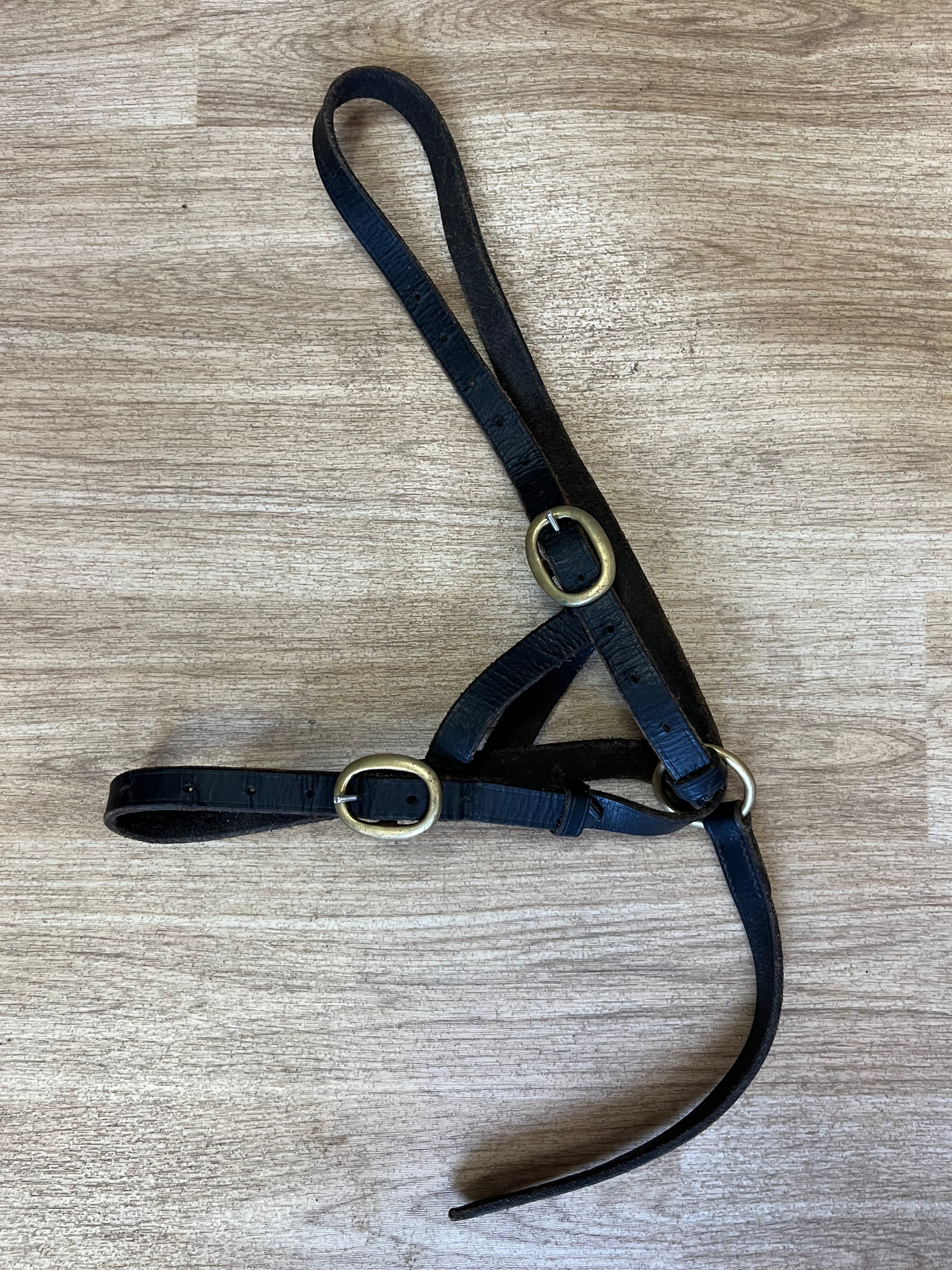 Foal Headslip