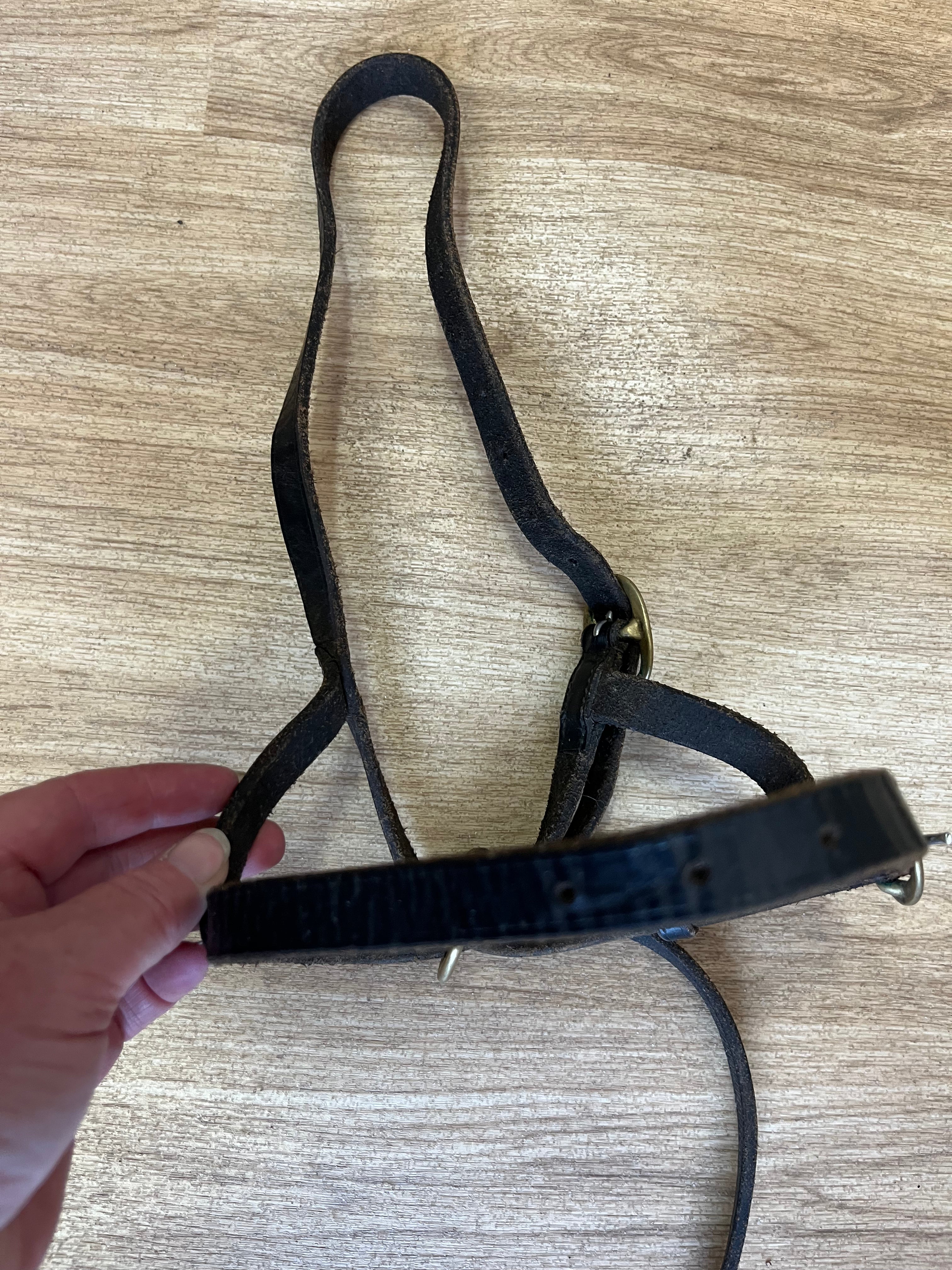 Foal Headslip