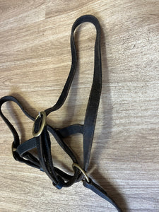 Foal Headslip