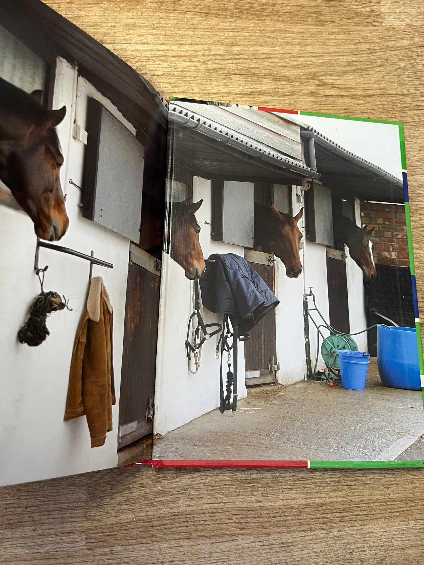 Horse’s Health Problem Solver Book By Roberta Baxter