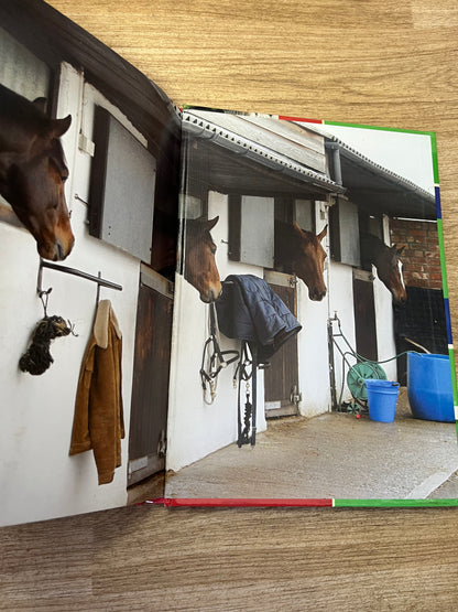 Horse’s Health Problem Solver Book By Roberta Baxter