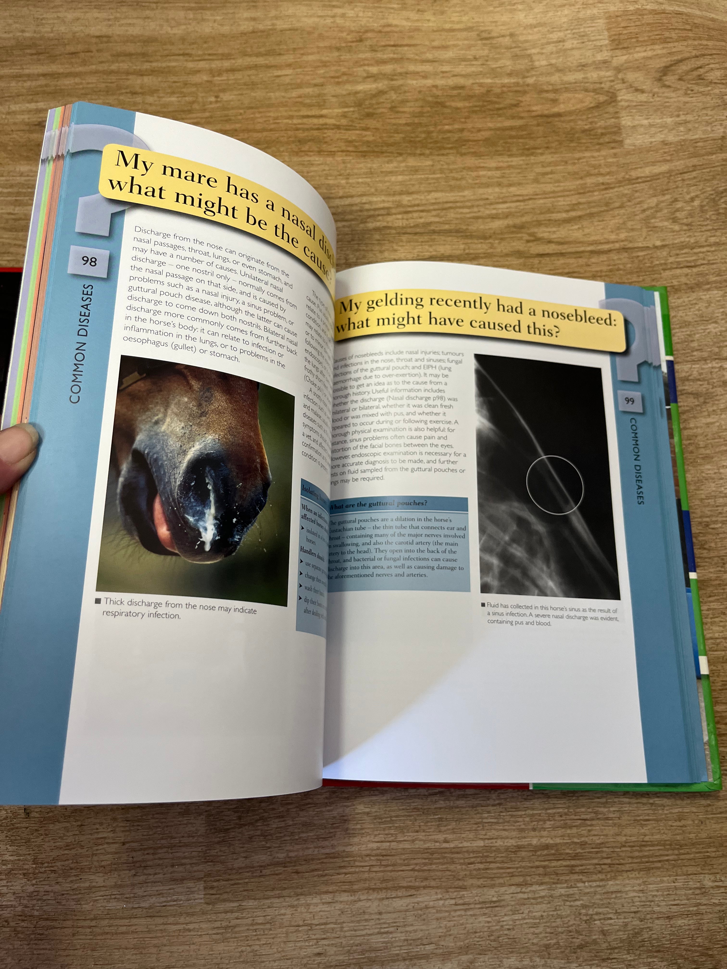 Horse’s Health Problem Solver Book By Roberta Baxter