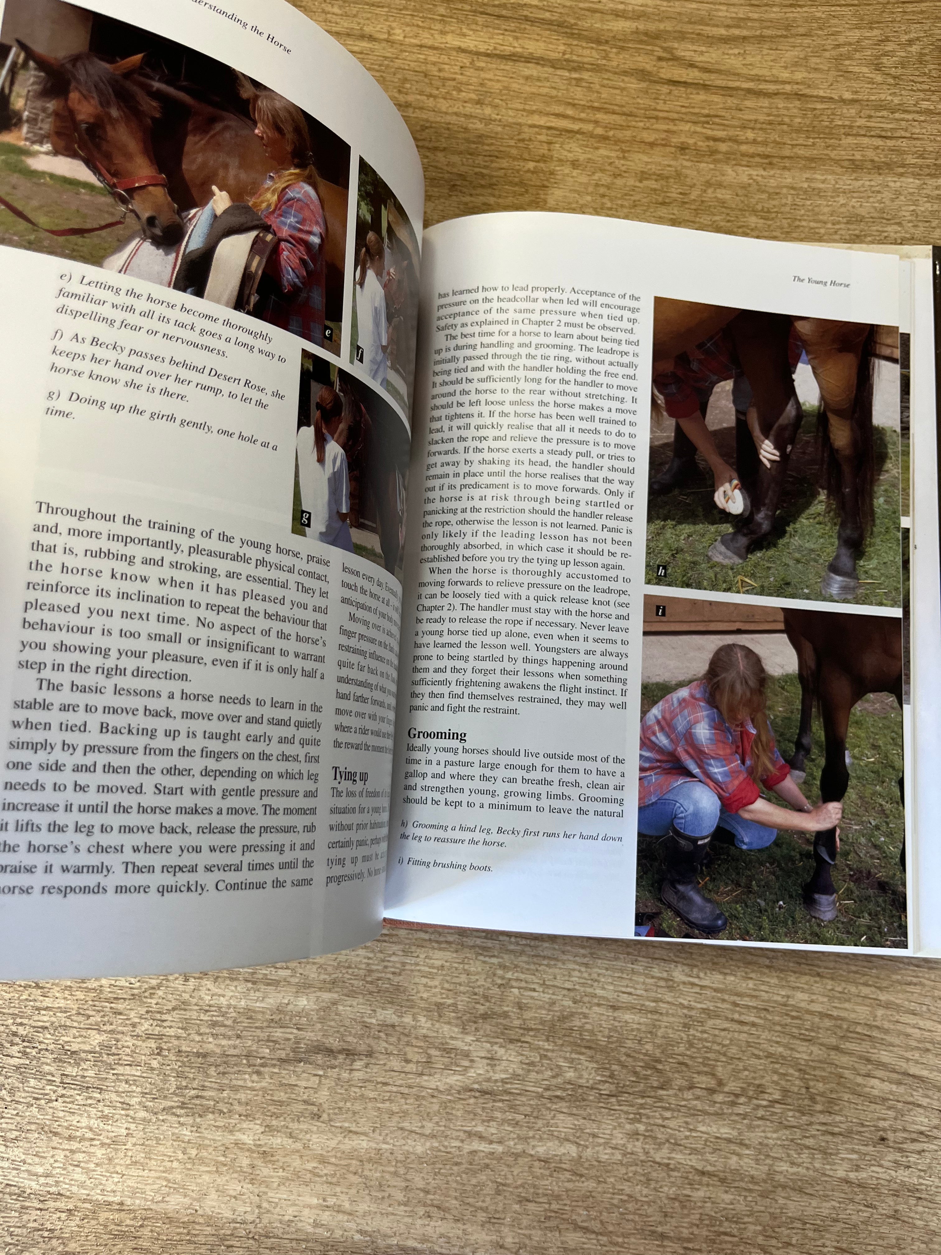 Handling And Understanding The Horse By Macy And Tony Pavord