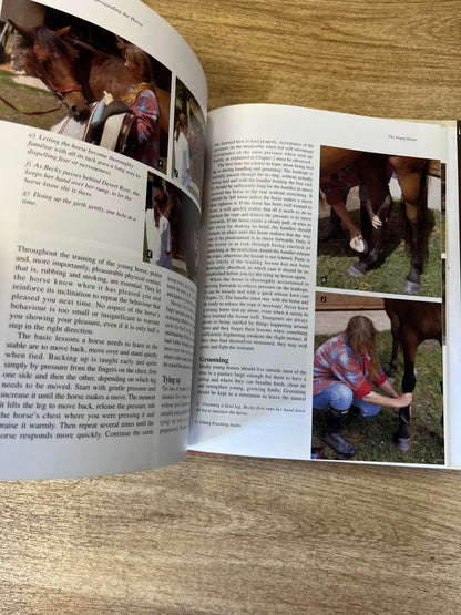 Handling And Understanding The Horse By Macy And Tony Pavord