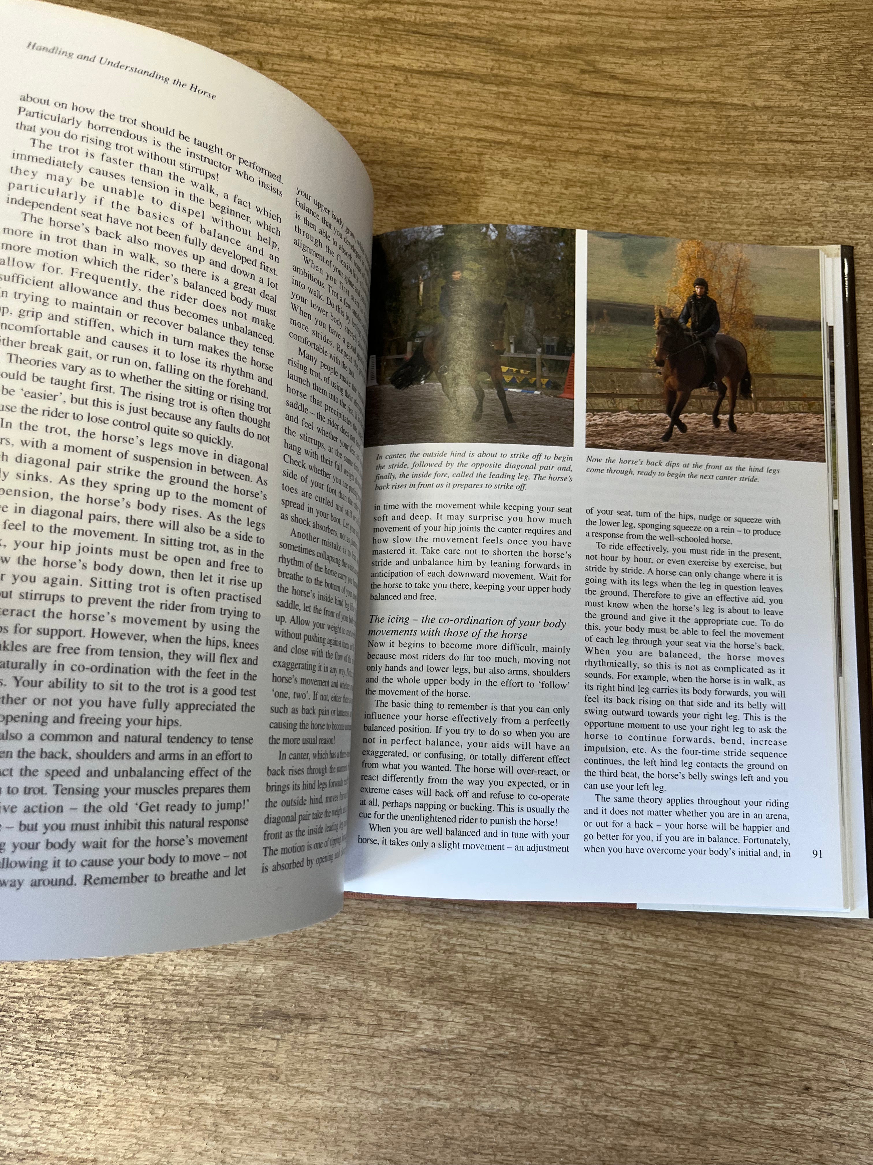Handling And Understanding The Horse By Macy And Tony Pavord