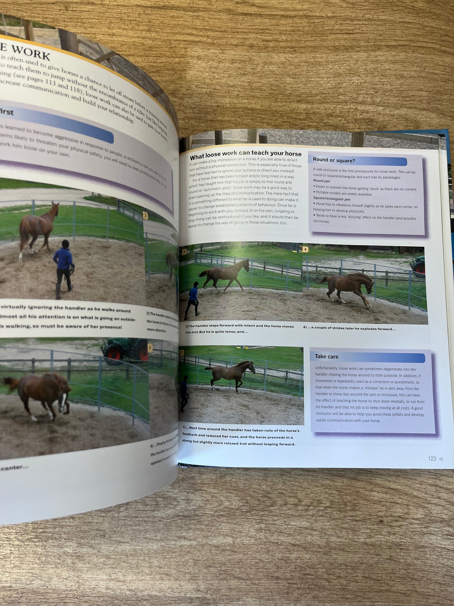 The BHS Book Of The Natural Horse