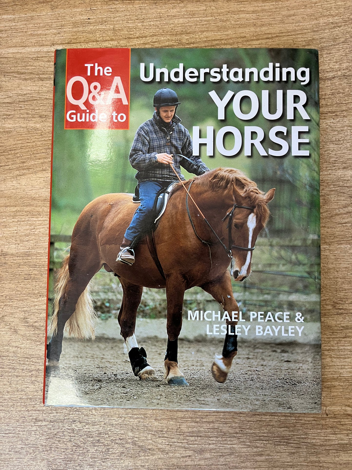 The Q&A Guide To Understanding Your Horse By Michael Peace & Lesley Bayley Hardback Book