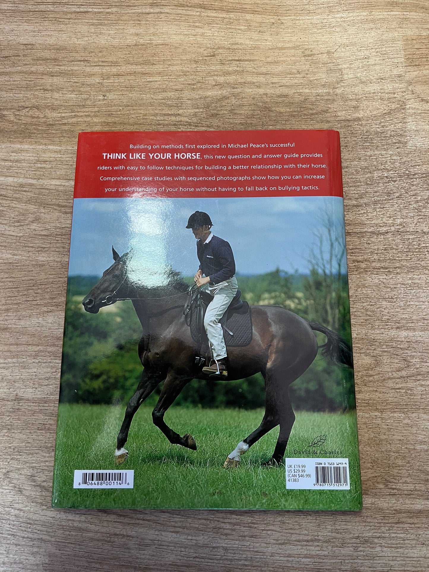 The Q&A Guide To Understanding Your Horse By Michael Peace & Lesley Bayley Hardback Book