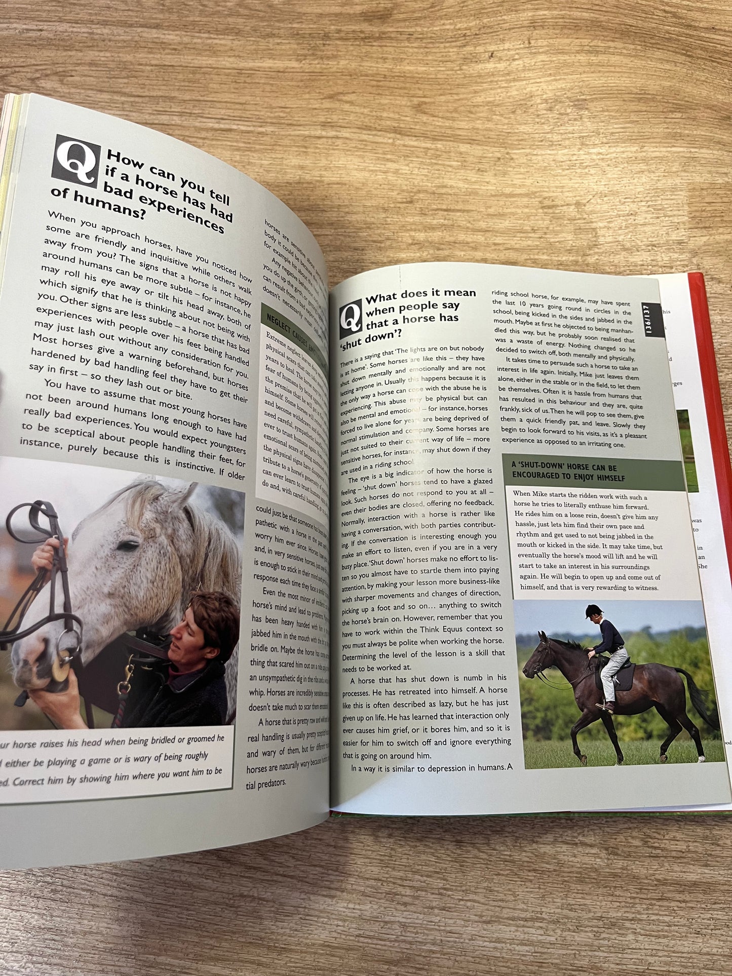 The Q&A Guide To Understanding Your Horse By Michael Peace & Lesley Bayley Hardback Book