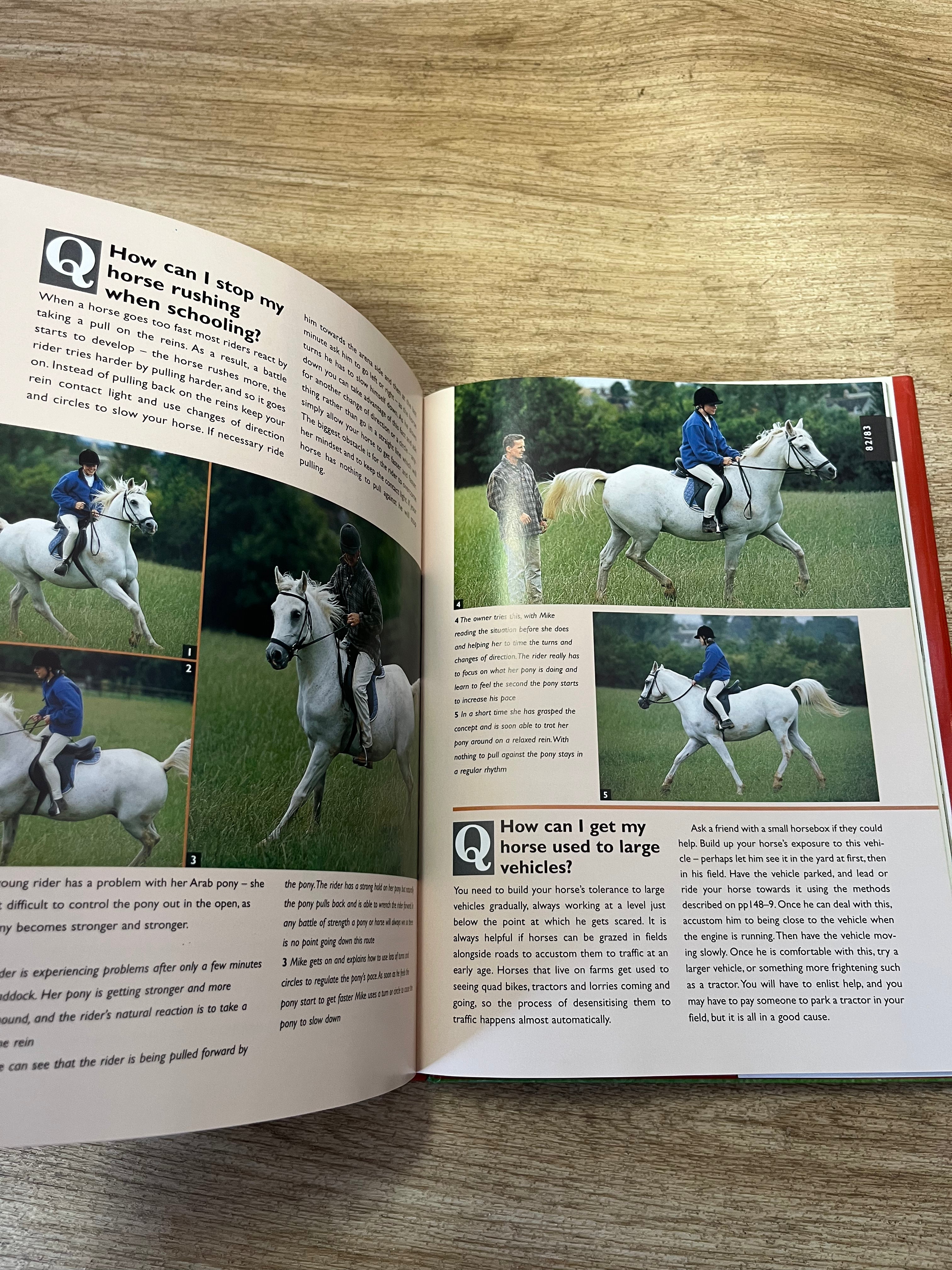 The Q&A Guide To Understanding Your Horse By Michael Peace & Lesley Bayley Hardback Book