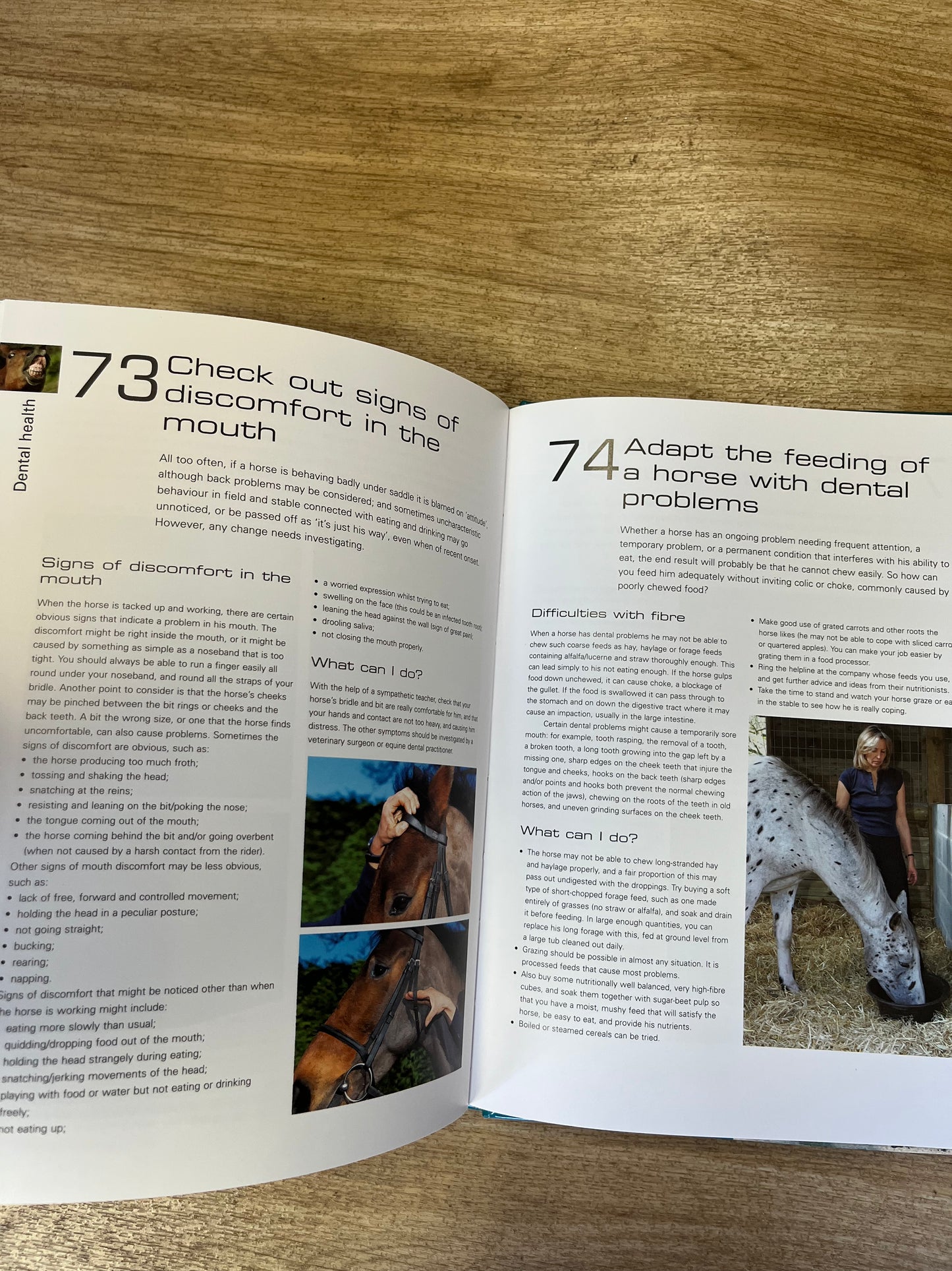 100 Ways To Improve Your Horse’s Health By Susan Mcbane