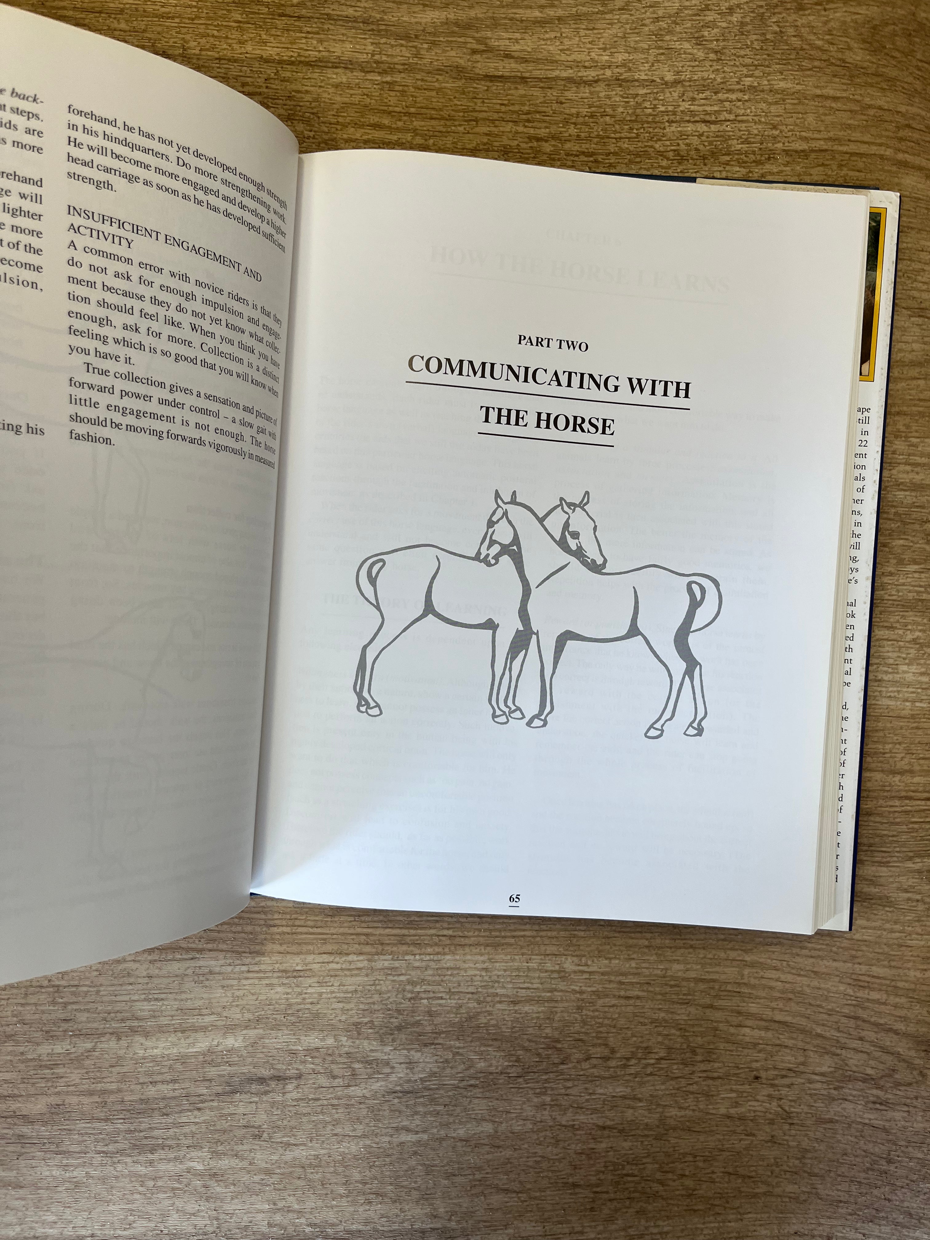 Successful Schooling Train Your Horse With Empathy Hardback Book