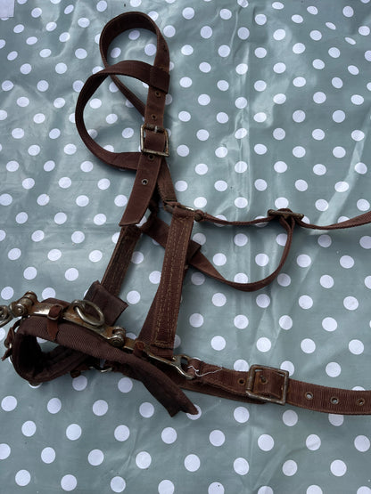 Lunging Cavesson Full Brown