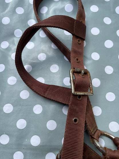 Lunging Cavesson Full Brown