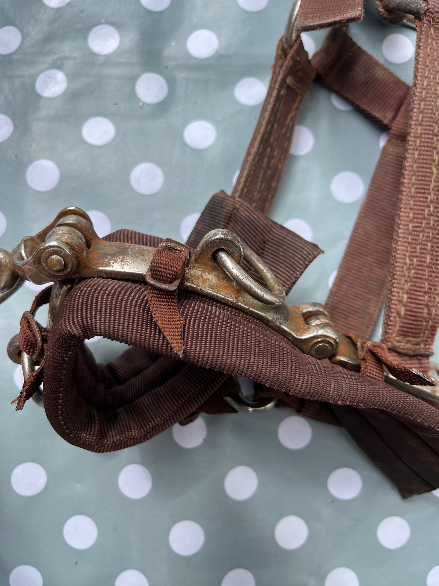 Lunging Cavesson Full Brown
