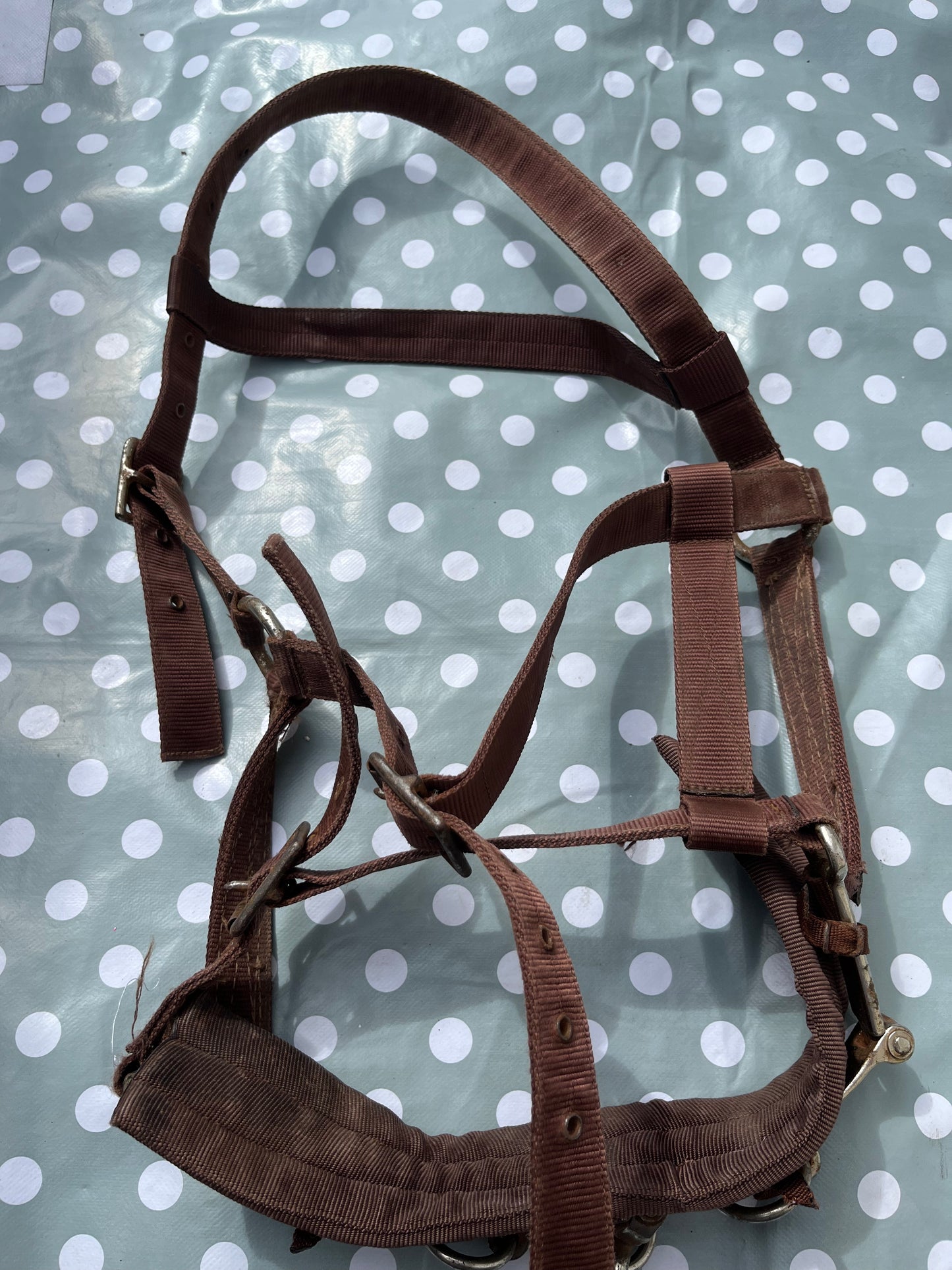 Lunging Cavesson Full Brown