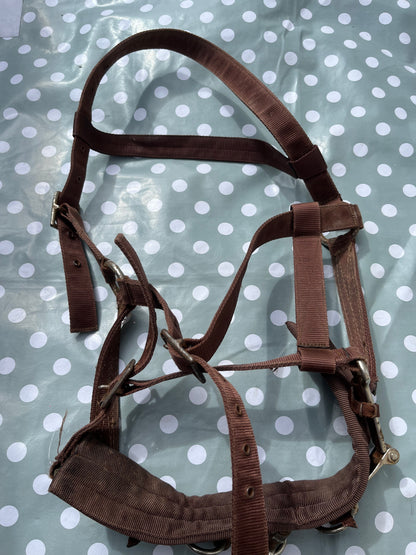 Lunging Cavesson Full Brown