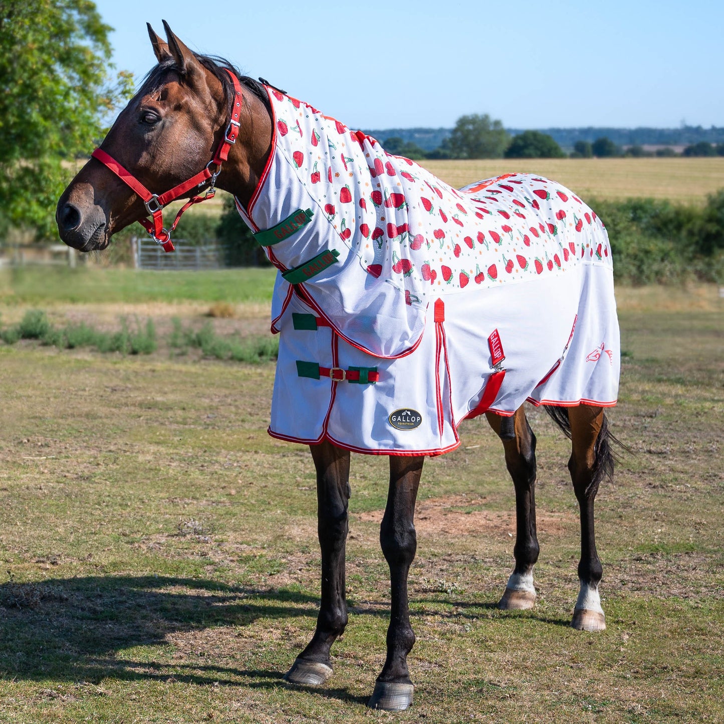 Gallop Berries & Cherries Combo Fly Rug .