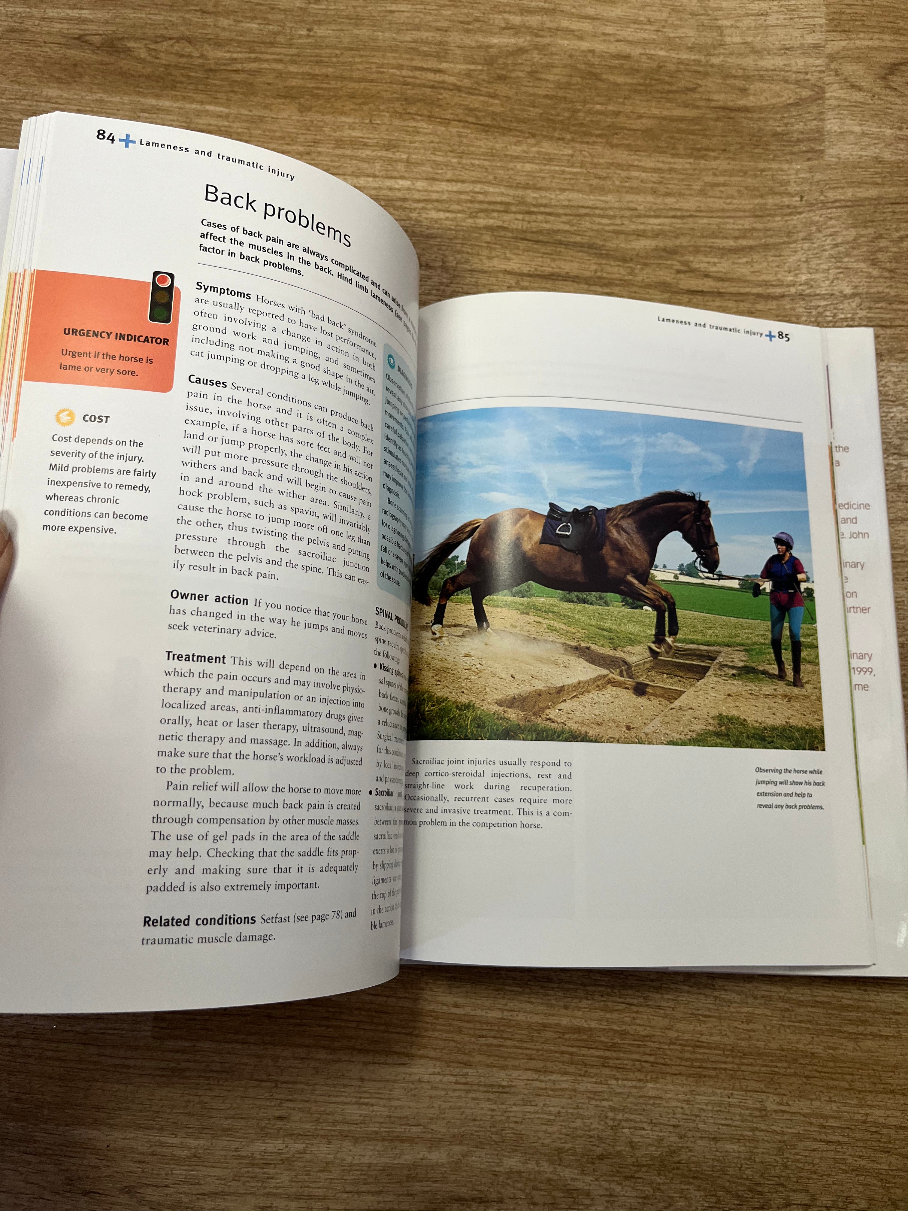 Vet Clinic Horses Hardback Book