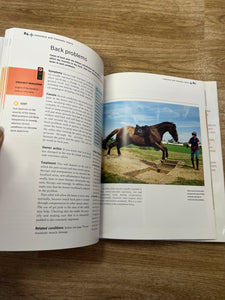 Vet Clinic Horses Hardback Book
