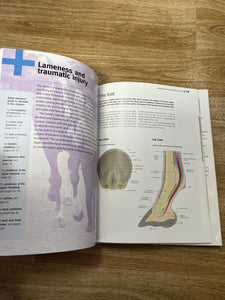 Vet Clinic Horses Hardback Book
