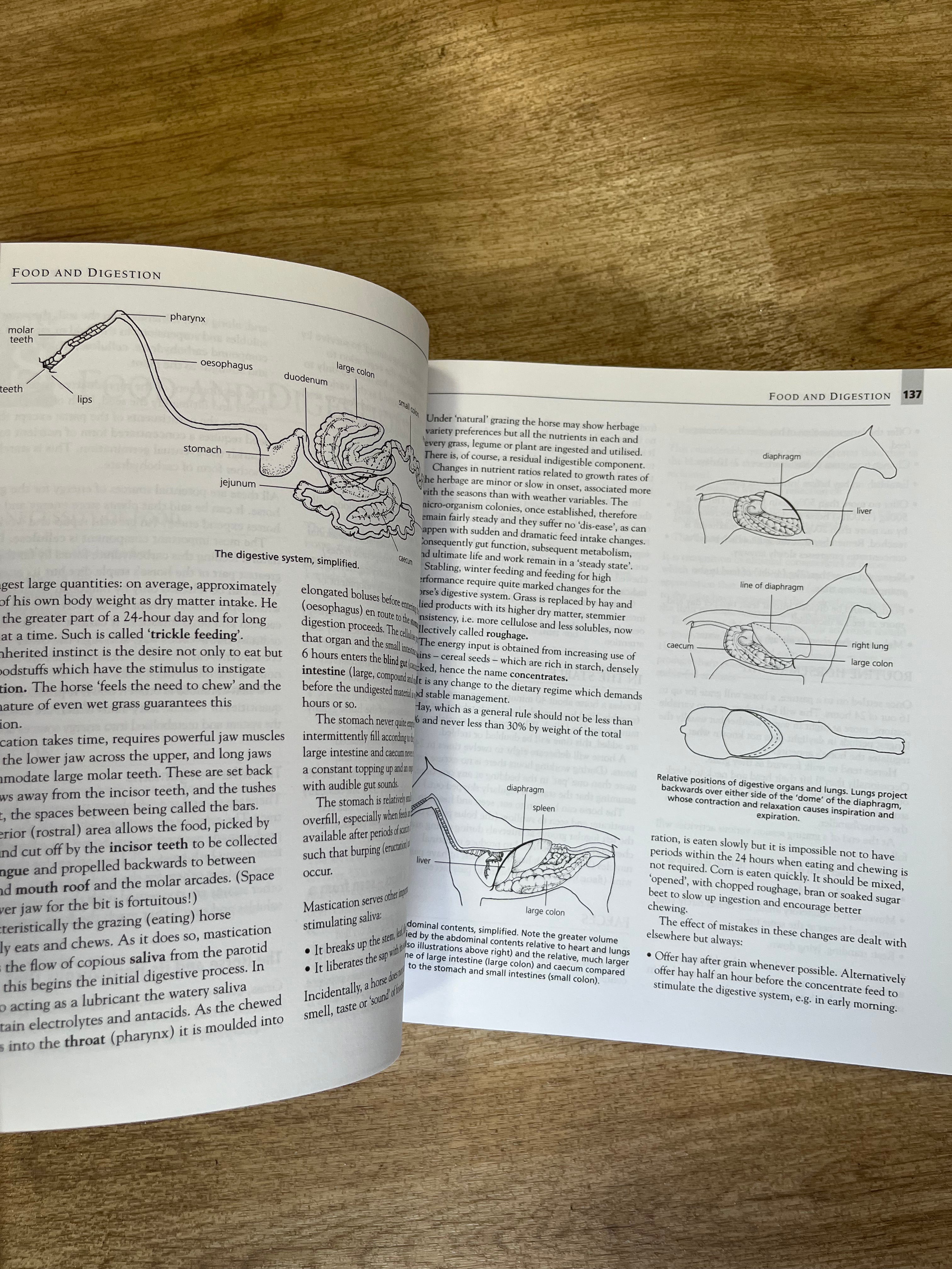 The BHS Complete Manual Of Stable Management Book
