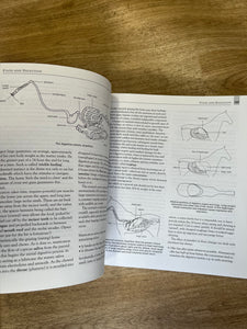 The BHS Complete Manual Of Stable Management Book