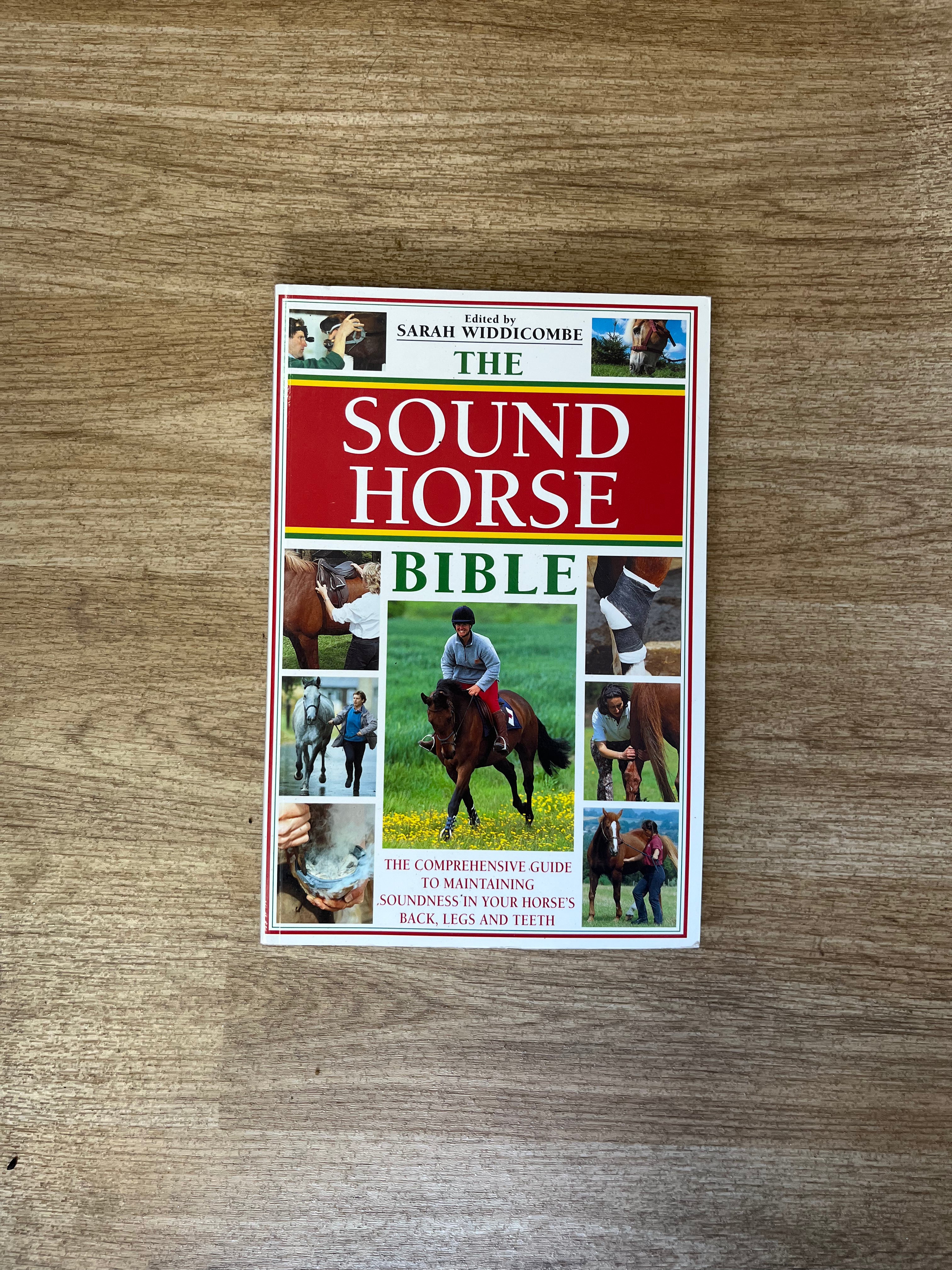 The Sound Horse Bible Paperback Book By Sarah Widdicombe