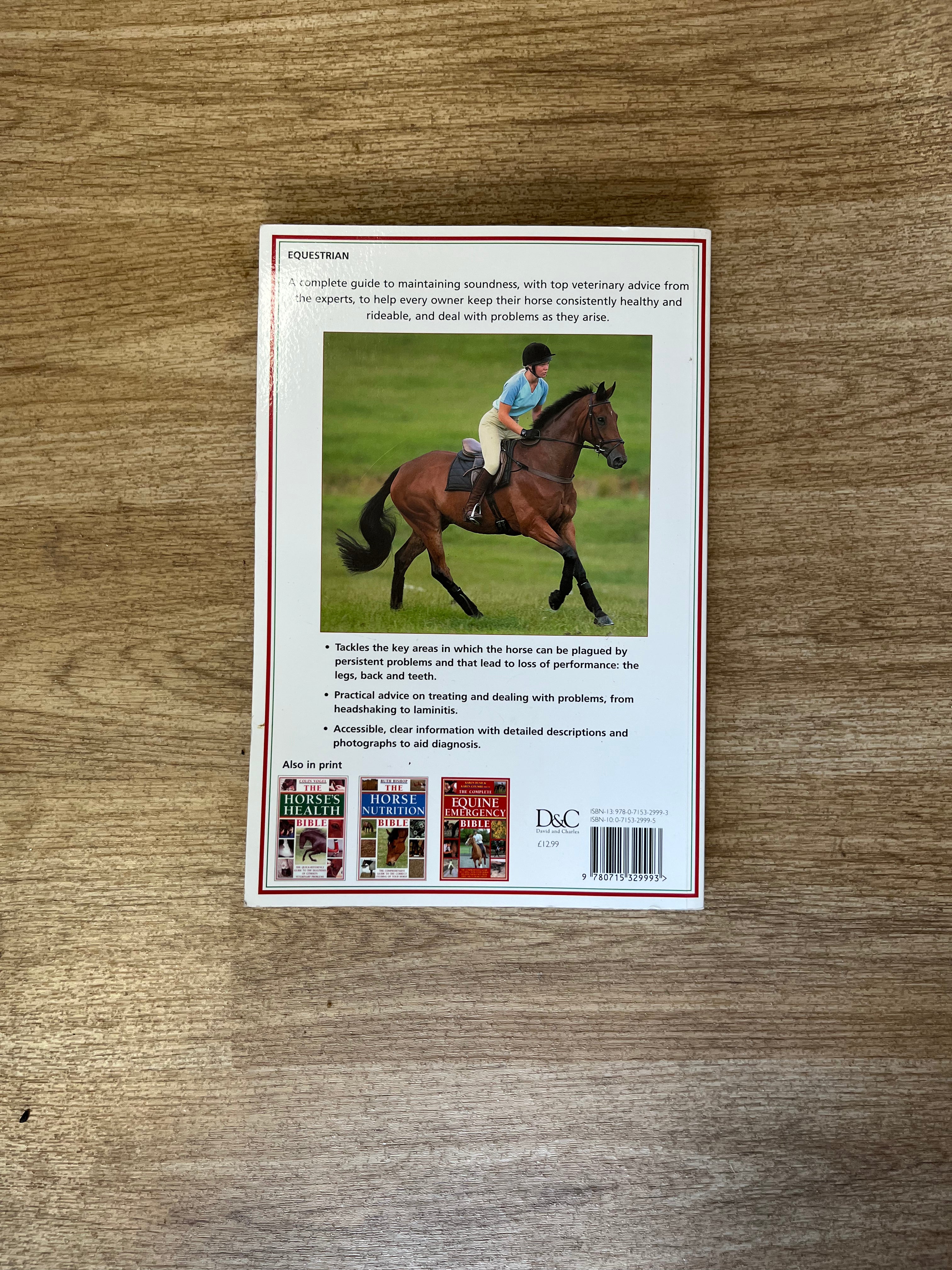 The Sound Horse Bible Paperback Book By Sarah Widdicombe