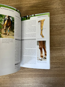 The Sound Horse Bible Paperback Book By Sarah Widdicombe
