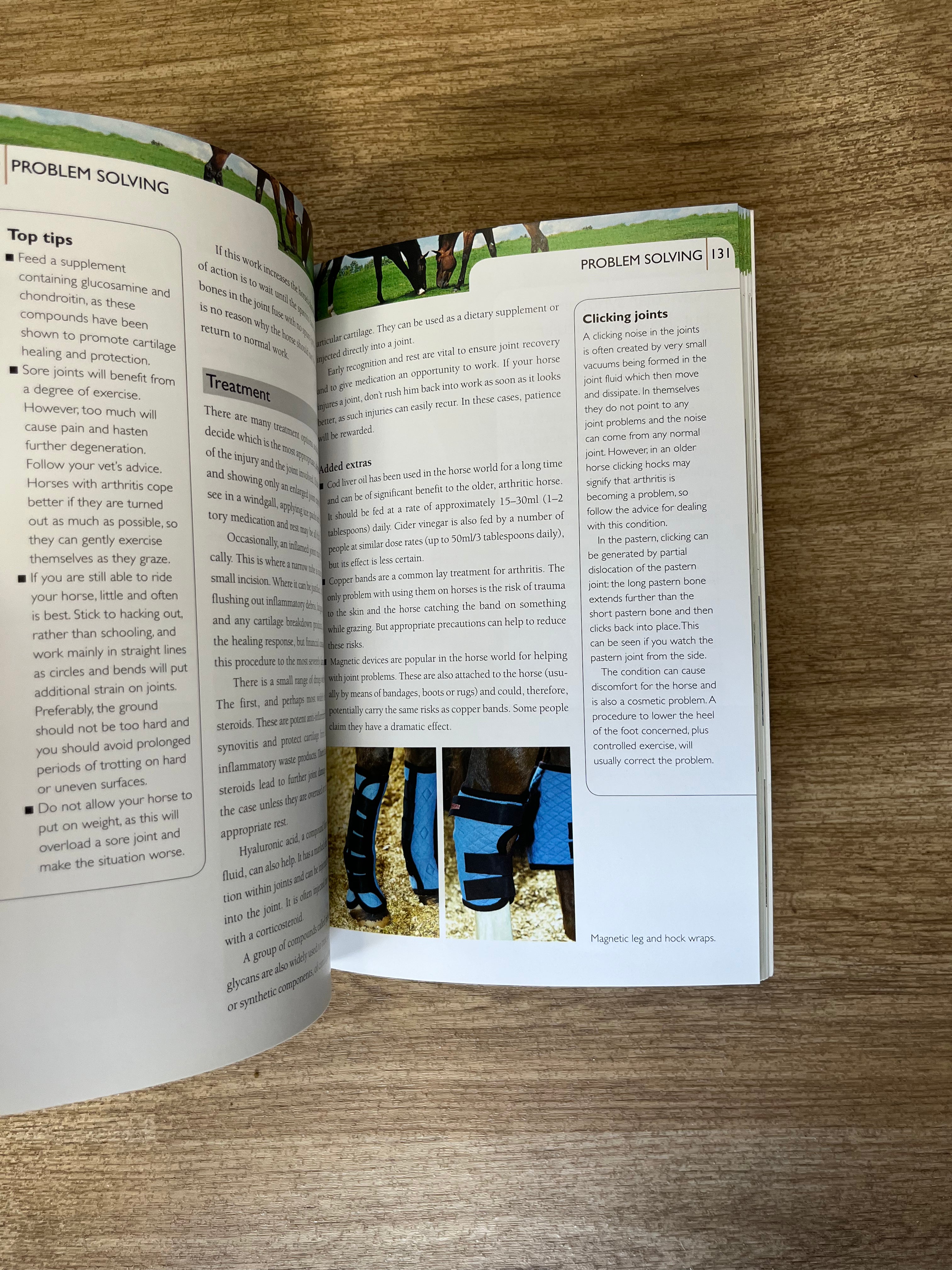 The Sound Horse Bible Paperback Book By Sarah Widdicombe