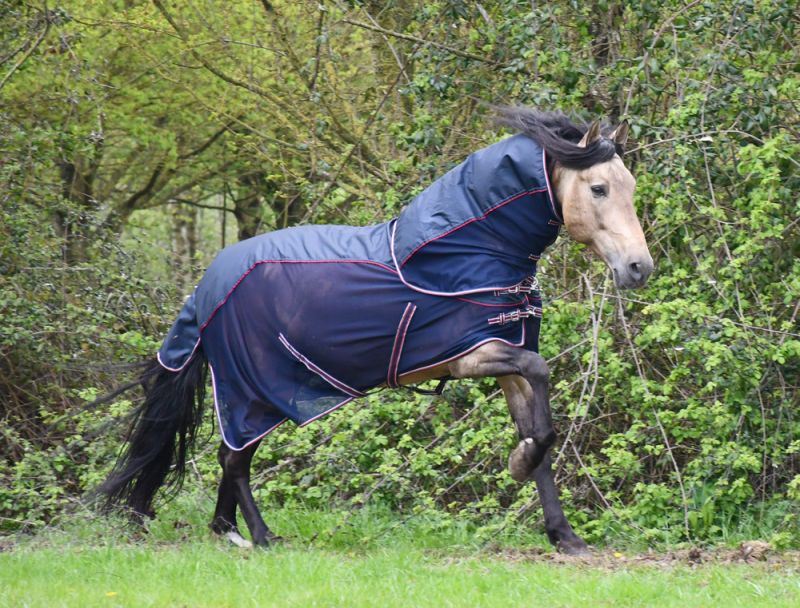 Rhinegold Mombasa Waterproof Topline Fly Rug With Neck Cover .