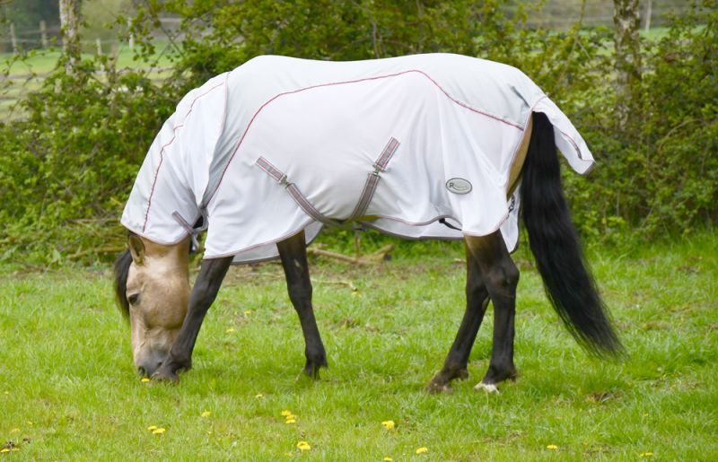 Rhinegold Mombasa Waterproof Topline Fly Rug With Neck Cover .