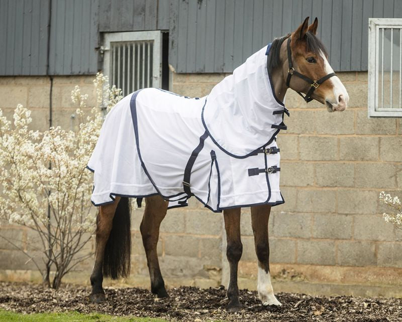 Rhinegold Fly Rug Supplied With Neck Cover .