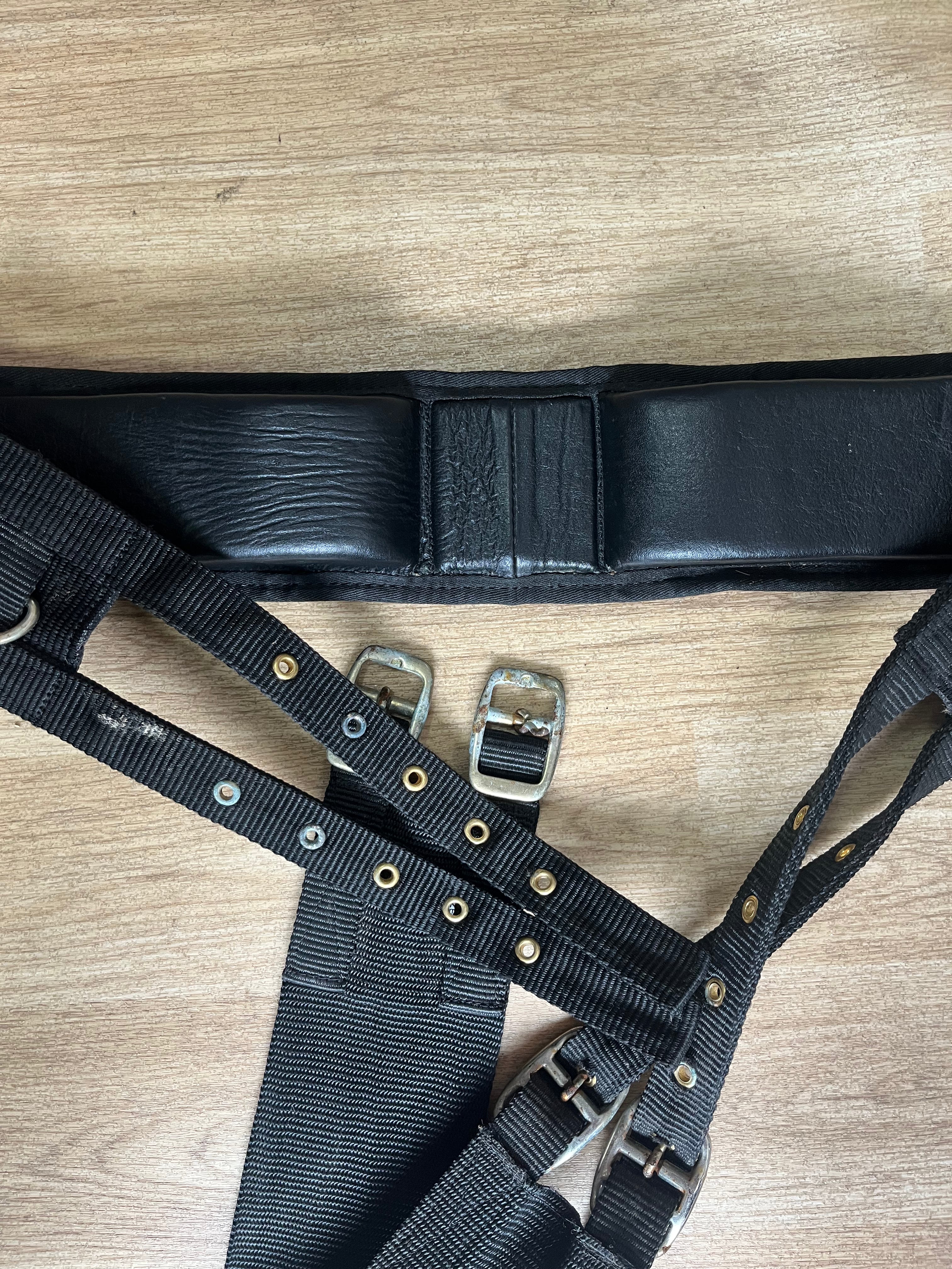 Pony Black Lunge Roller Training Aid
