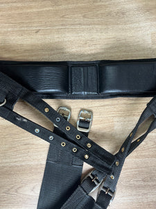 Pony Black Lunge Roller Training Aid