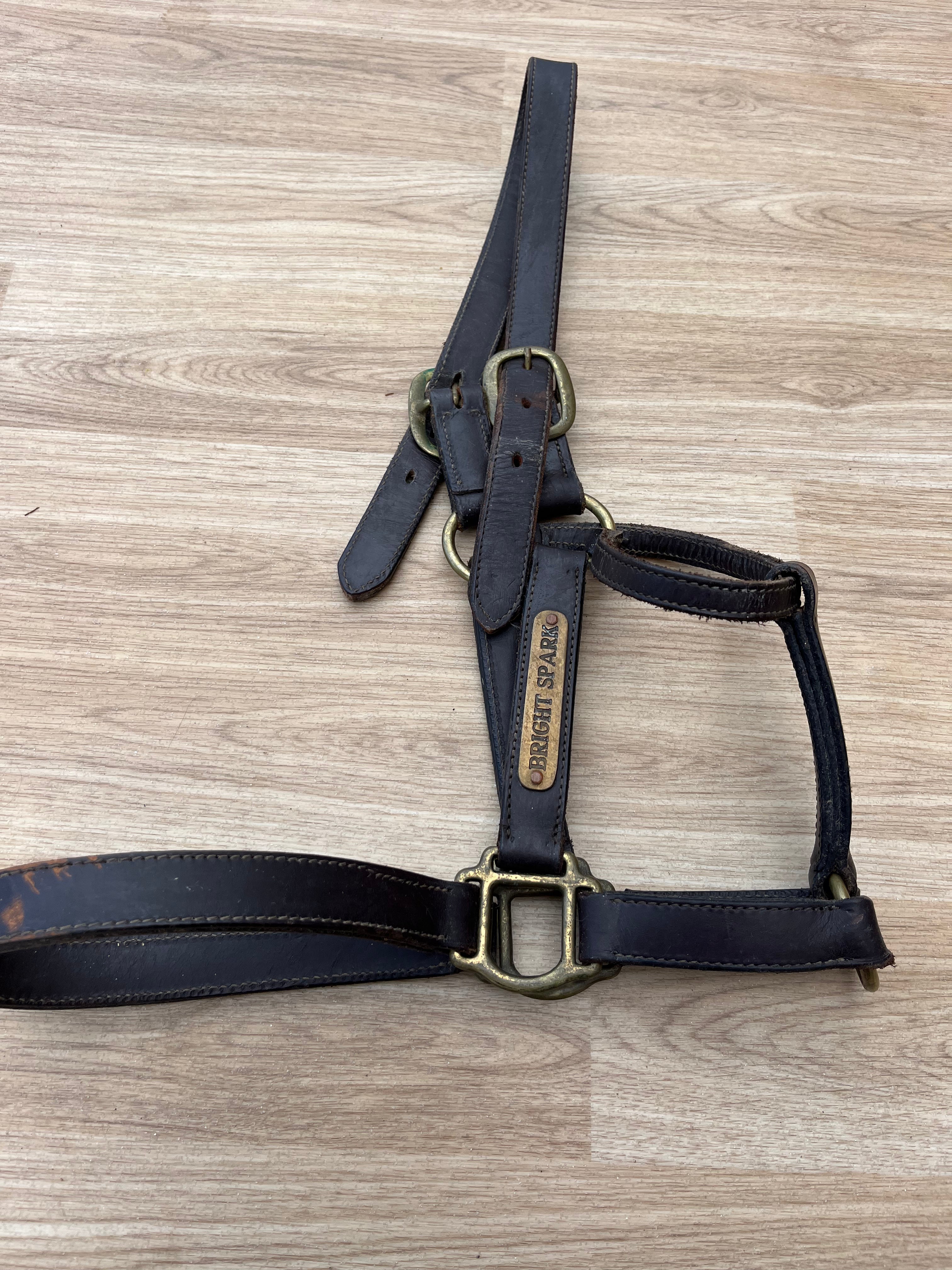 Brown Leather Headcollar Cob