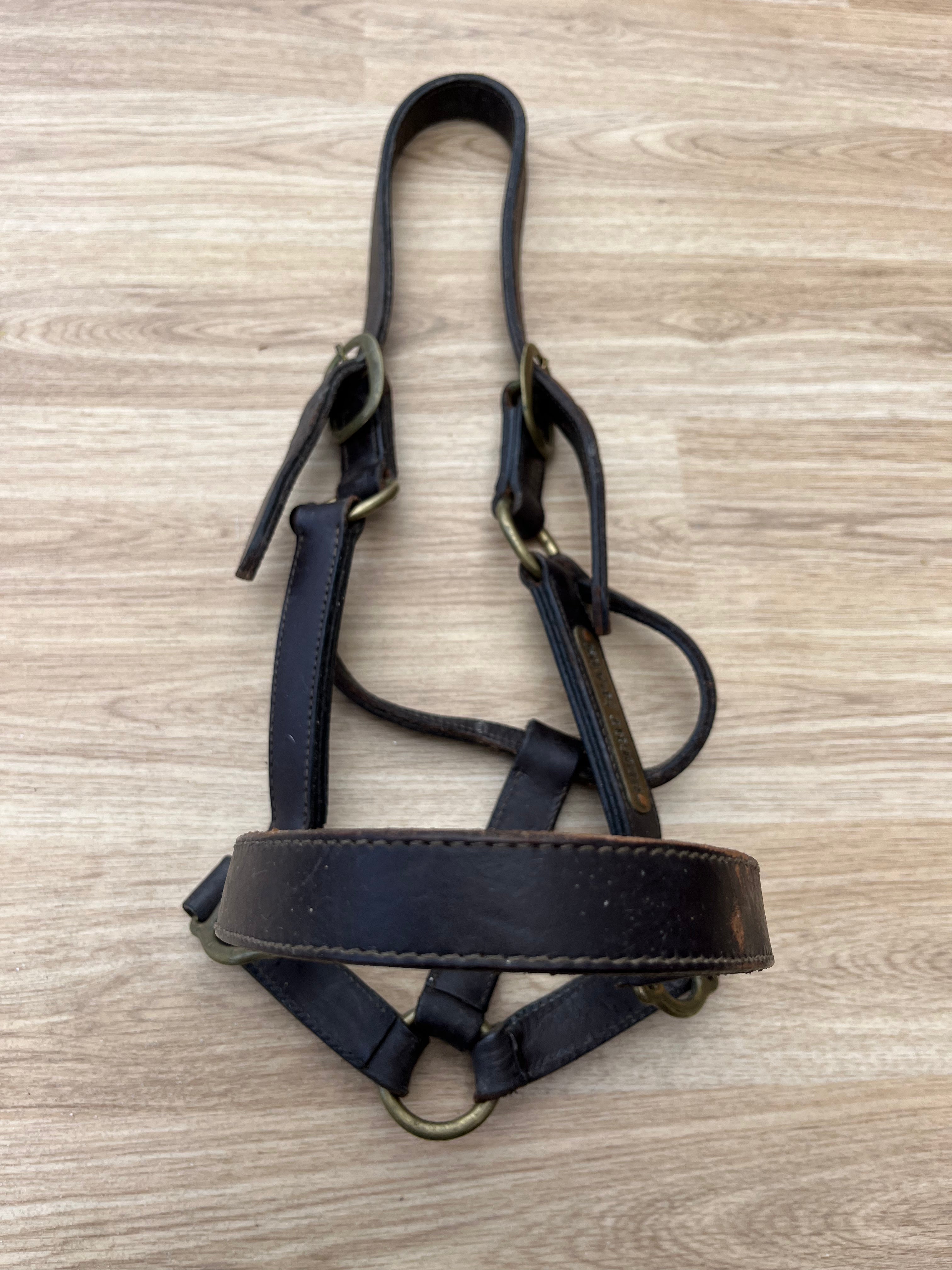 Brown Leather Headcollar Cob