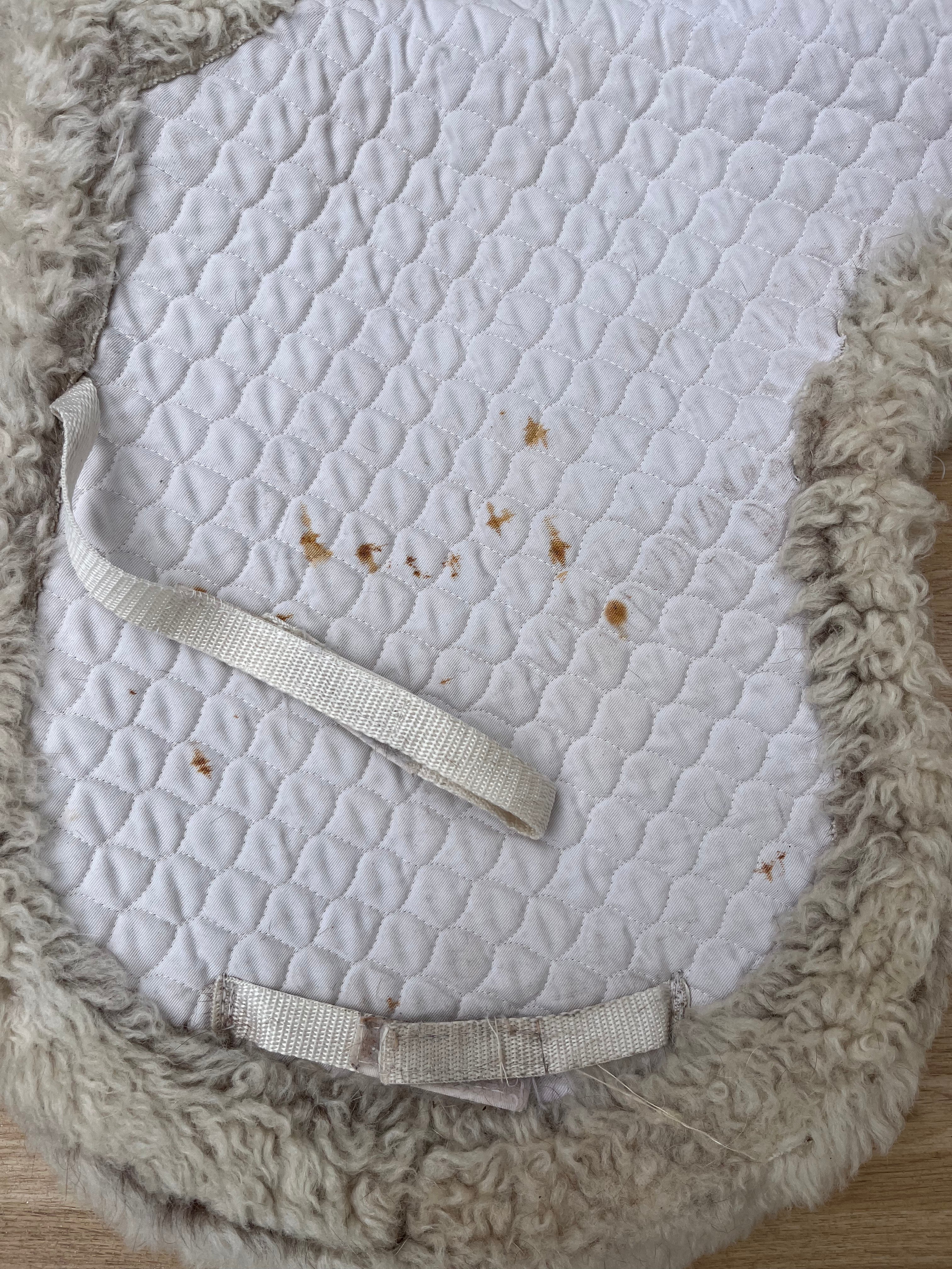 Nuumed Griffin Numnah Wool Full