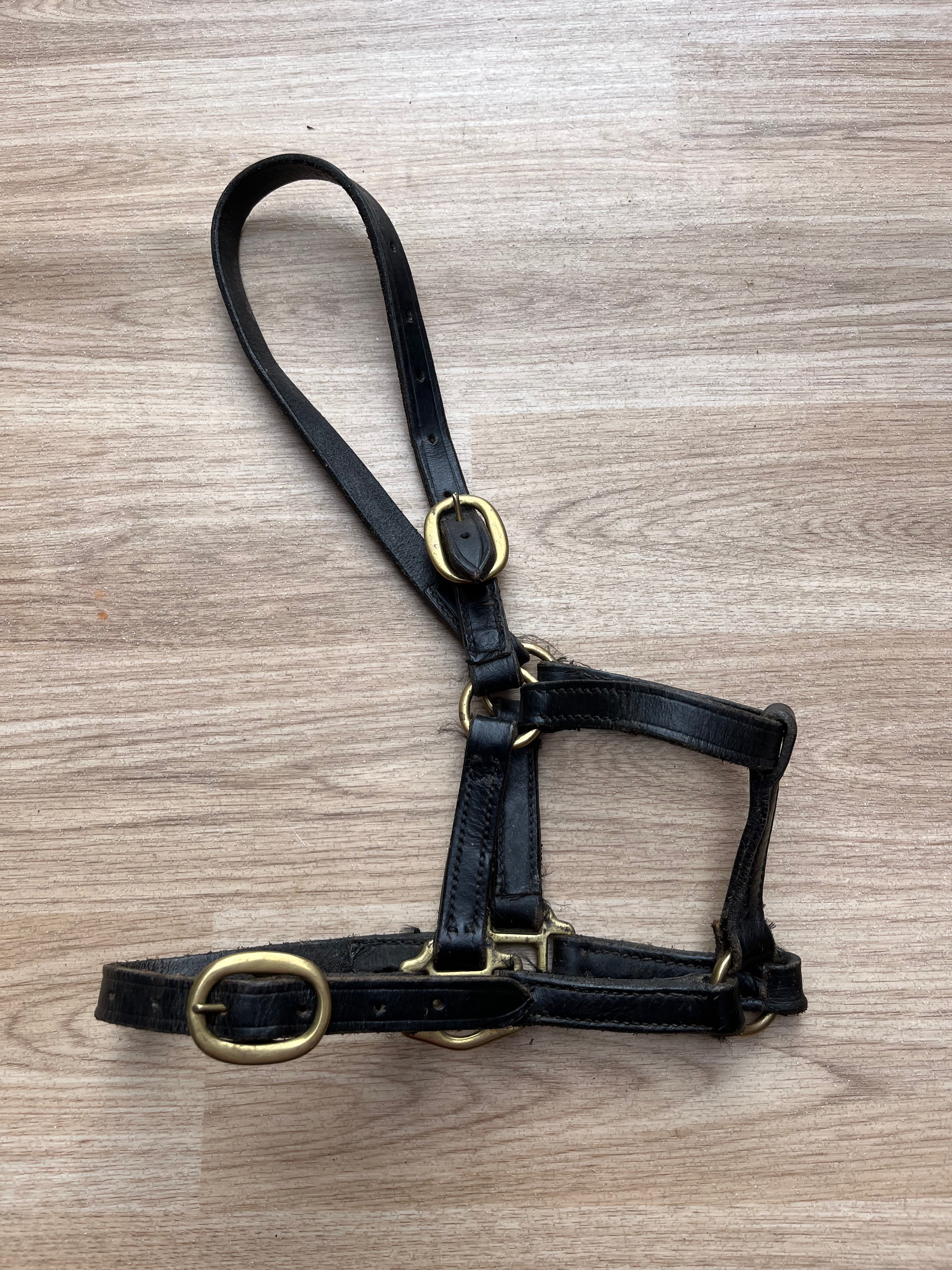Leather Headcollar X Small Black