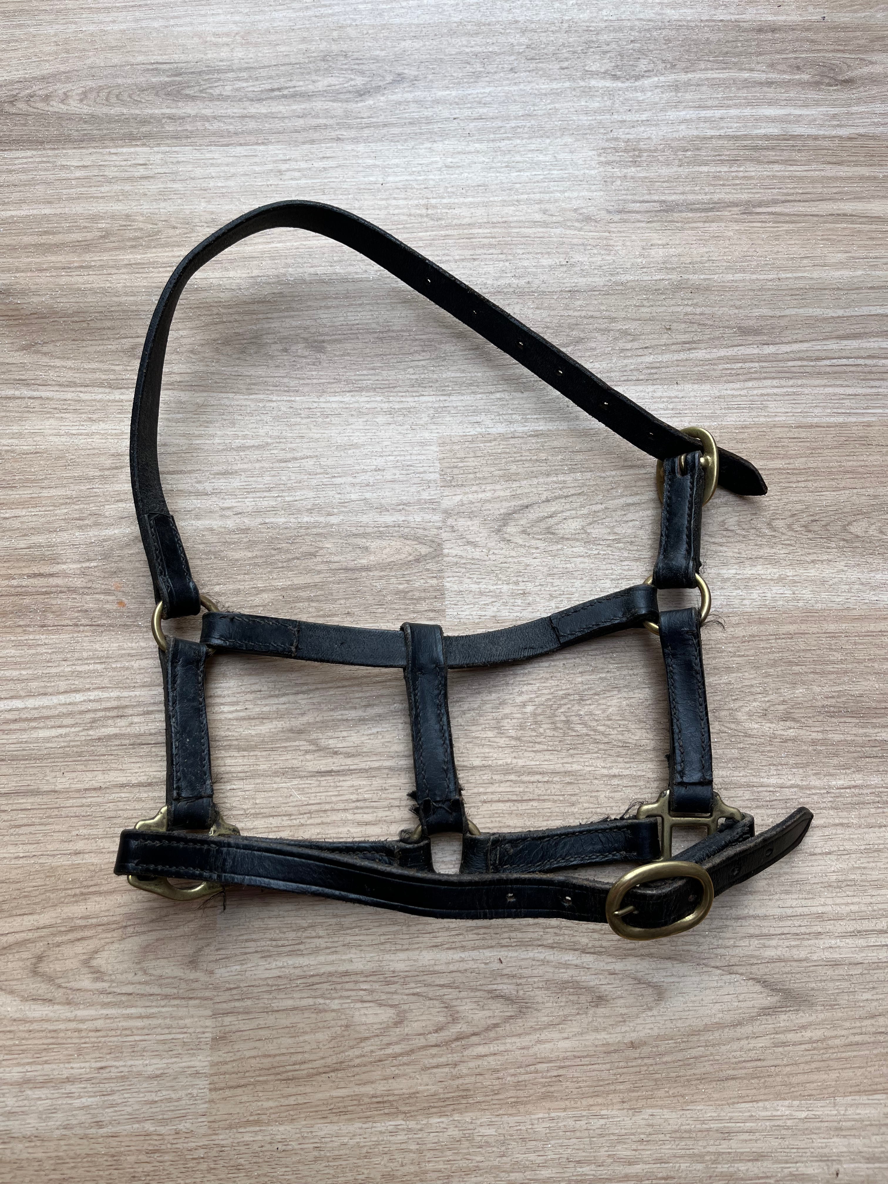 Leather Headcollar X Small Black