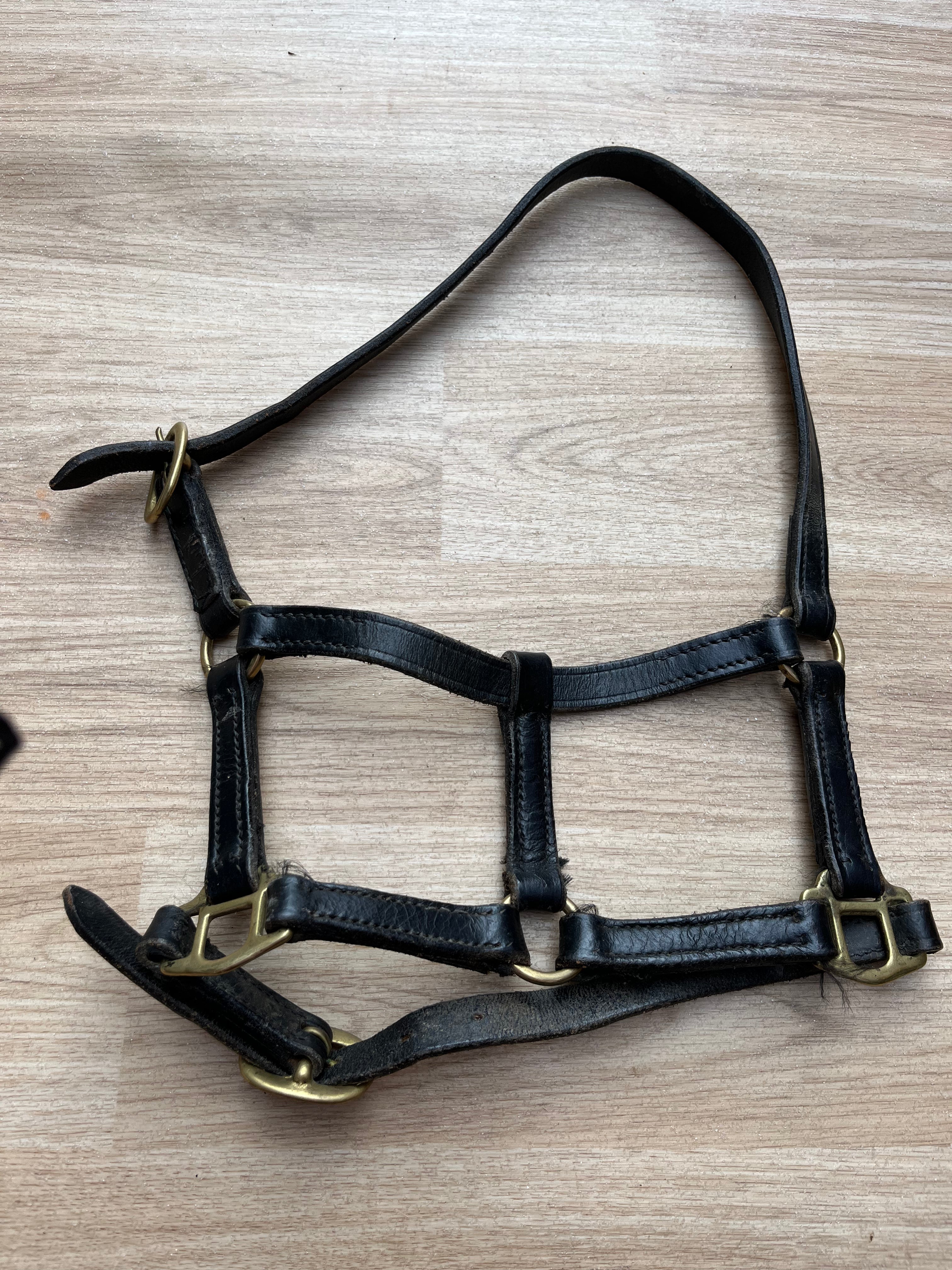 Leather Headcollar X Small Black