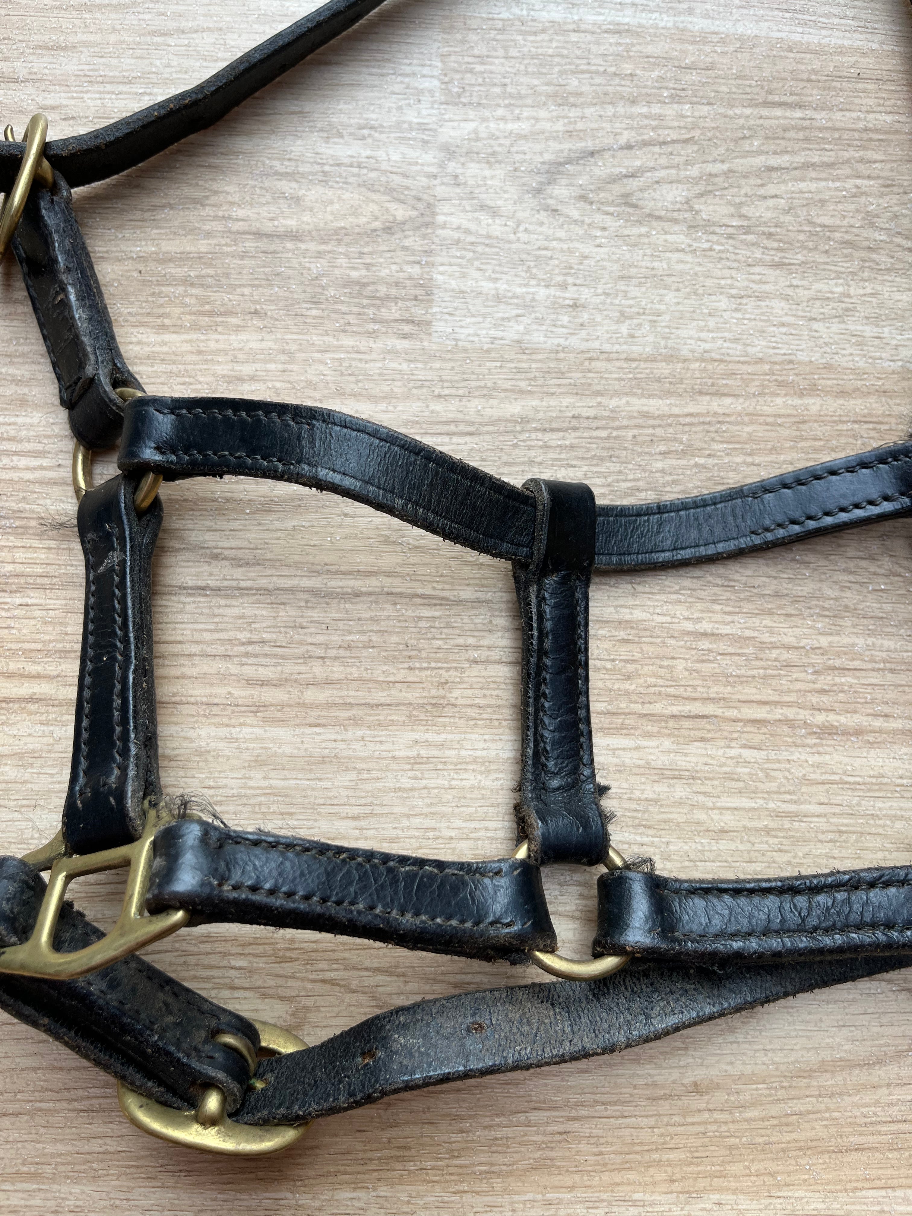Leather Headcollar X Small Black