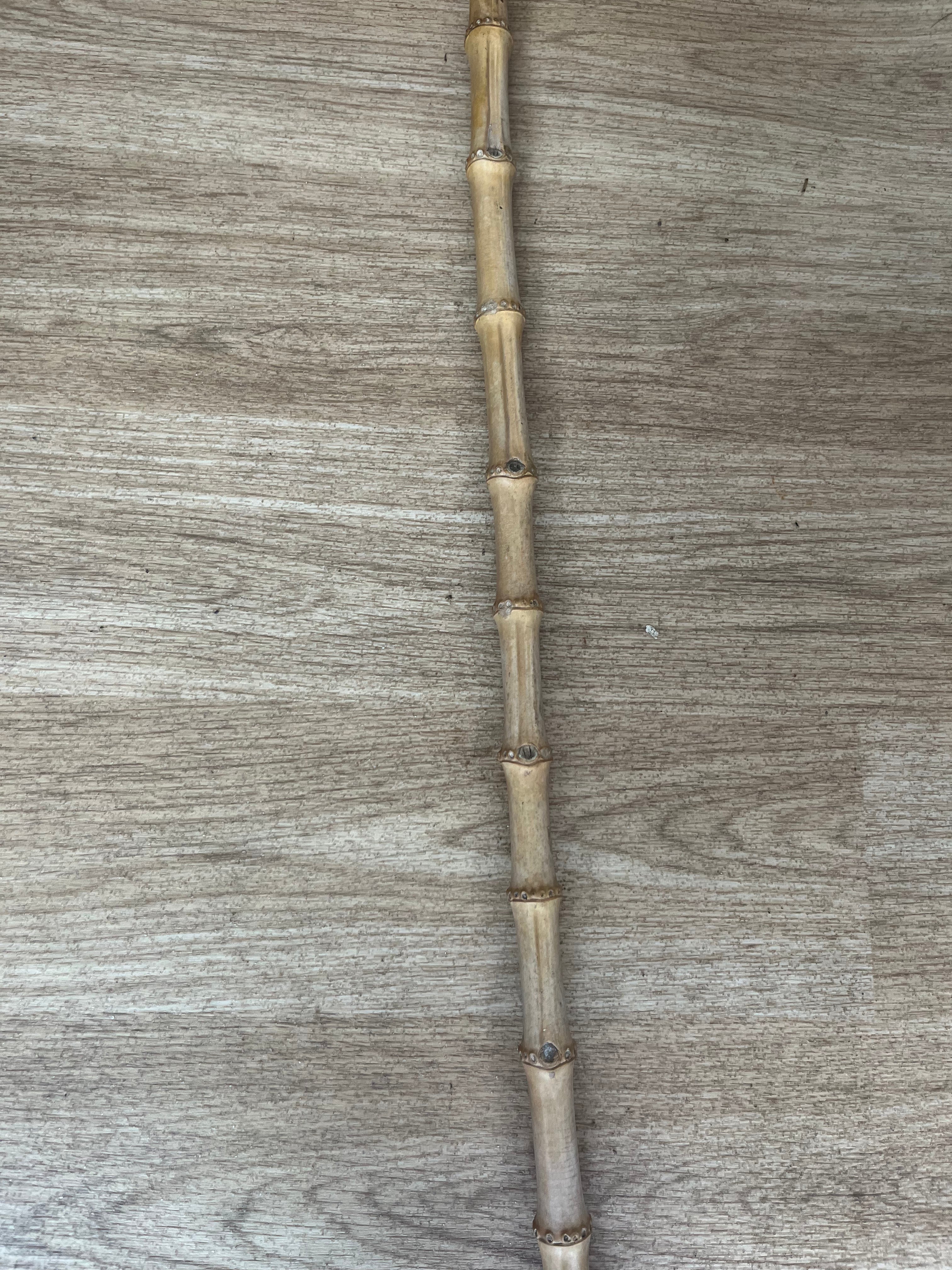 Bamboo Show Cane 24” Long