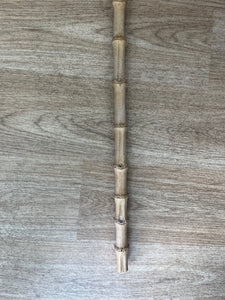 Bamboo Show Cane 24” Long