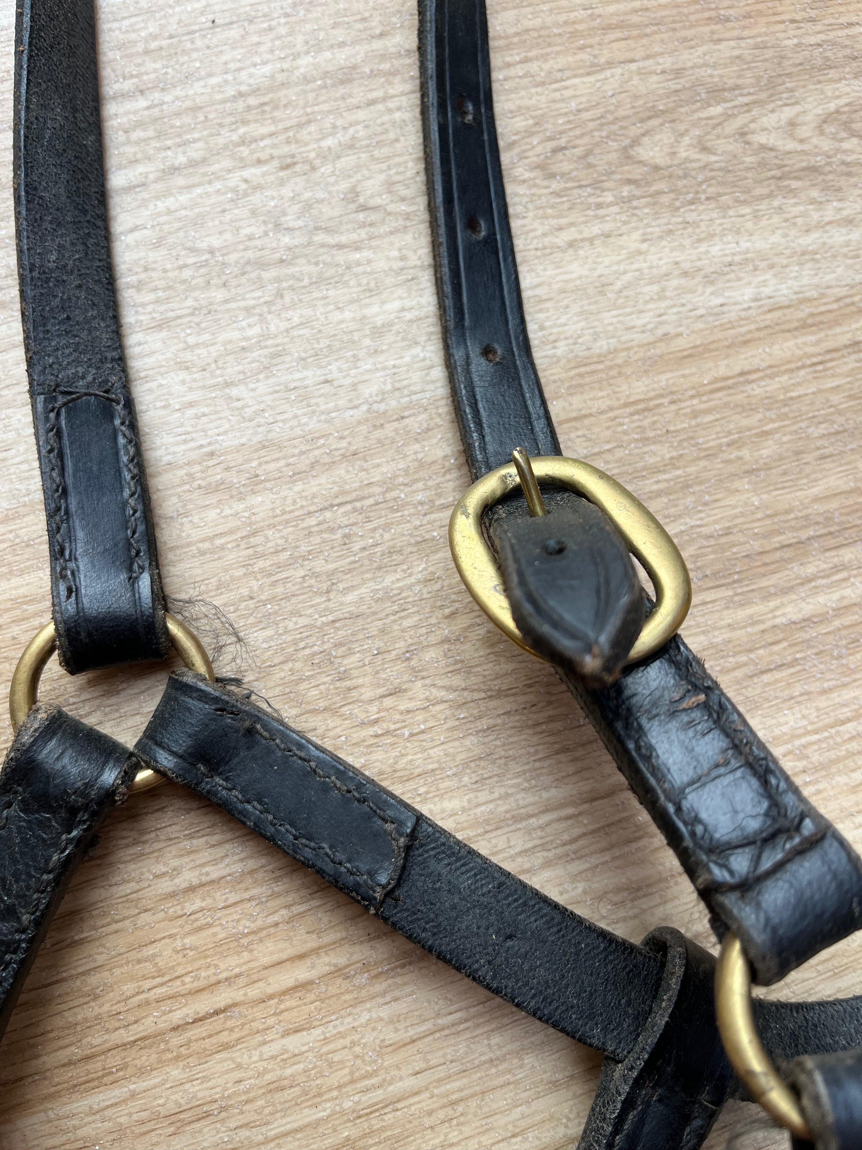 Leather Headcollar X Small Black